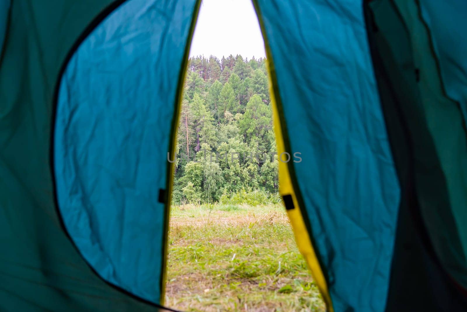 View from the tent to the forest. The concept of outdoor recreation