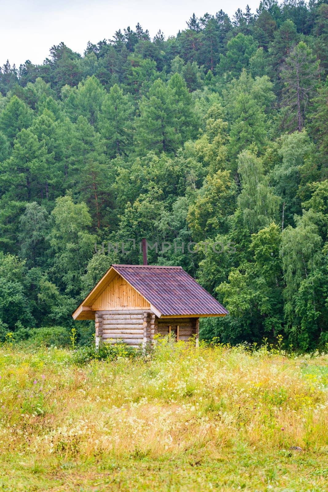 Wooden bathhouse in the beautiful Russian nature by the river