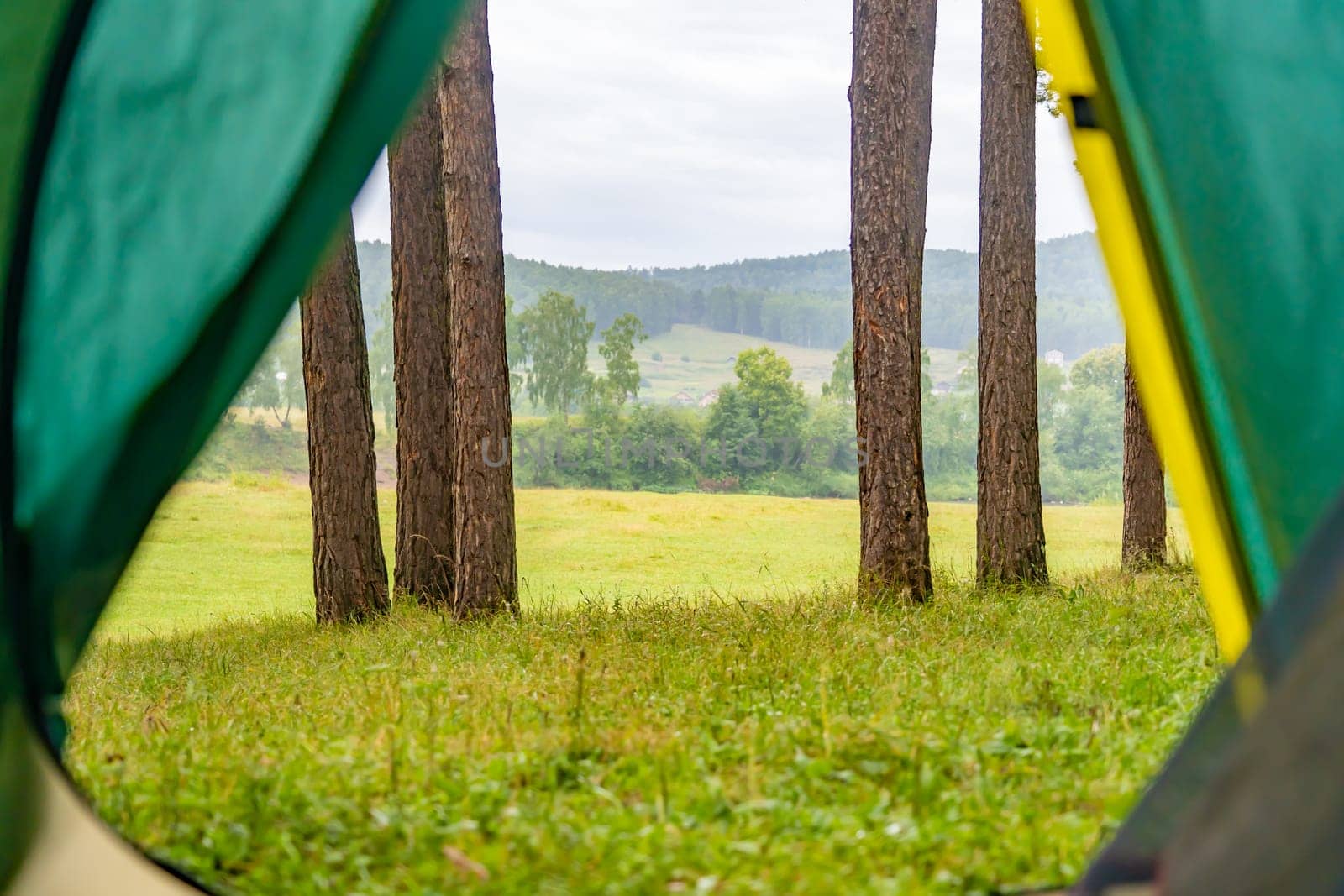 View from the tent to the forest. The concept of outdoor recreation