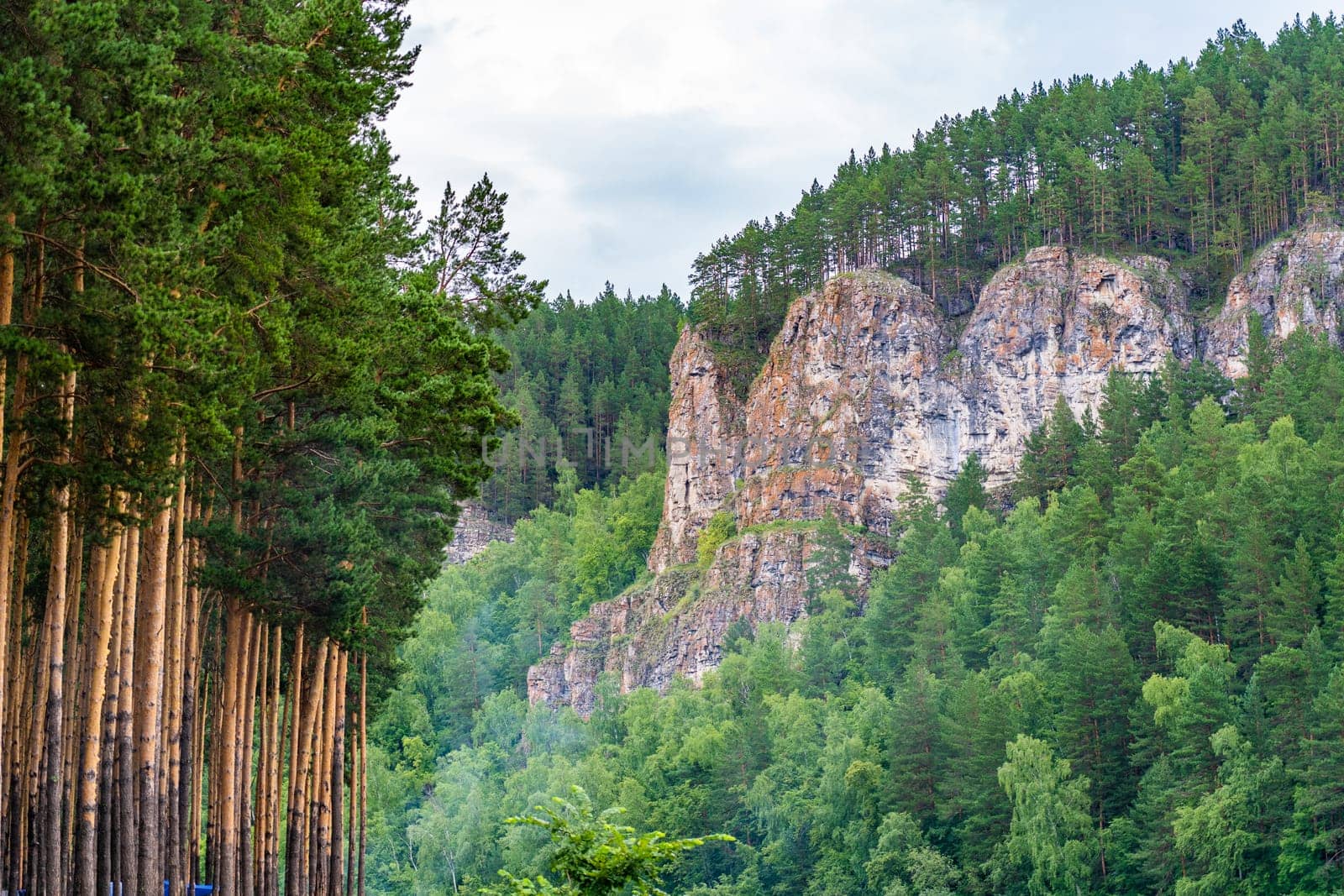 The beautiful nature of the South Urals. Tall pines and rocks of Russia