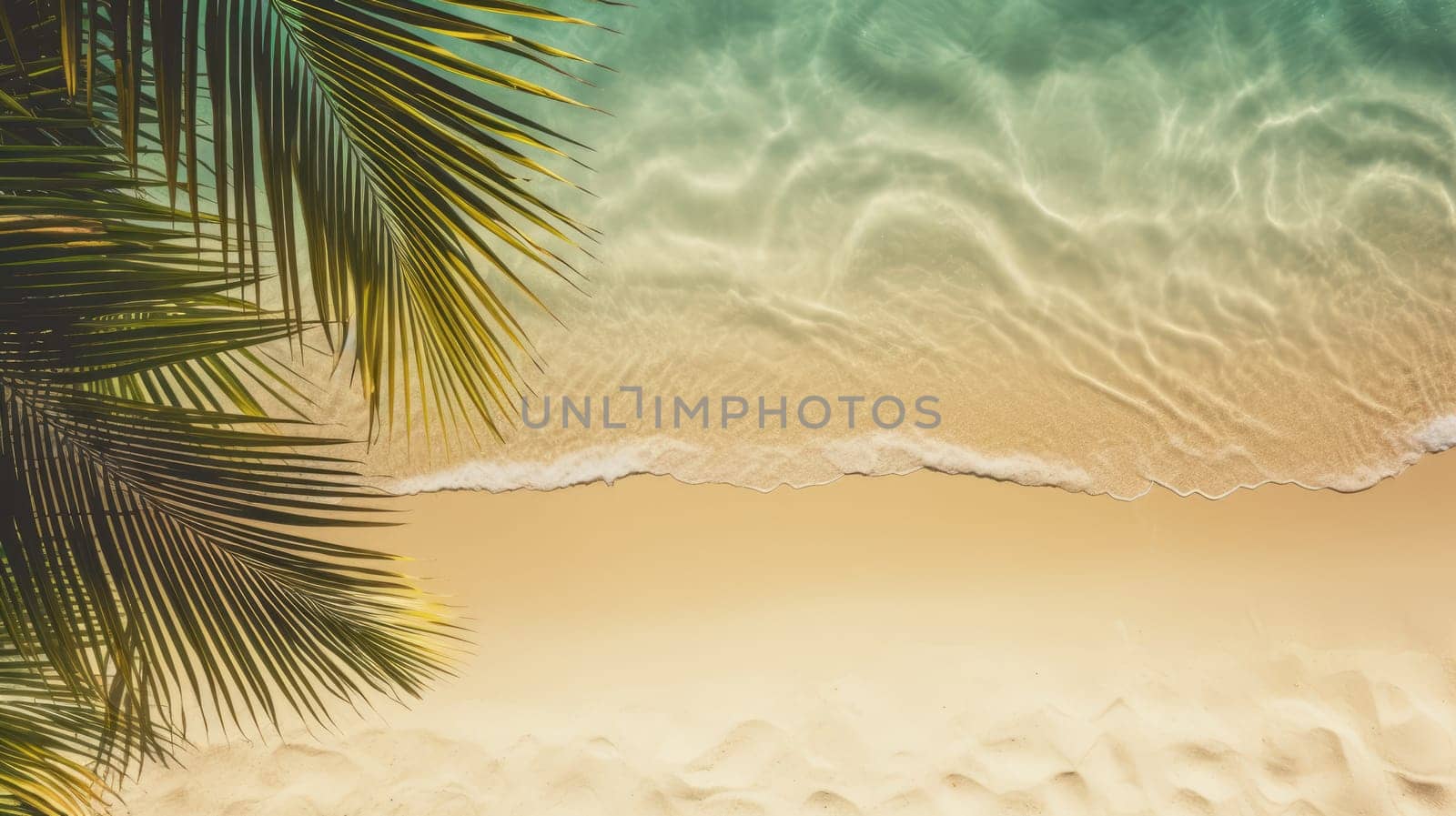 Sunny sand beach with water and green palm leaf from above, empty background by natali_brill
