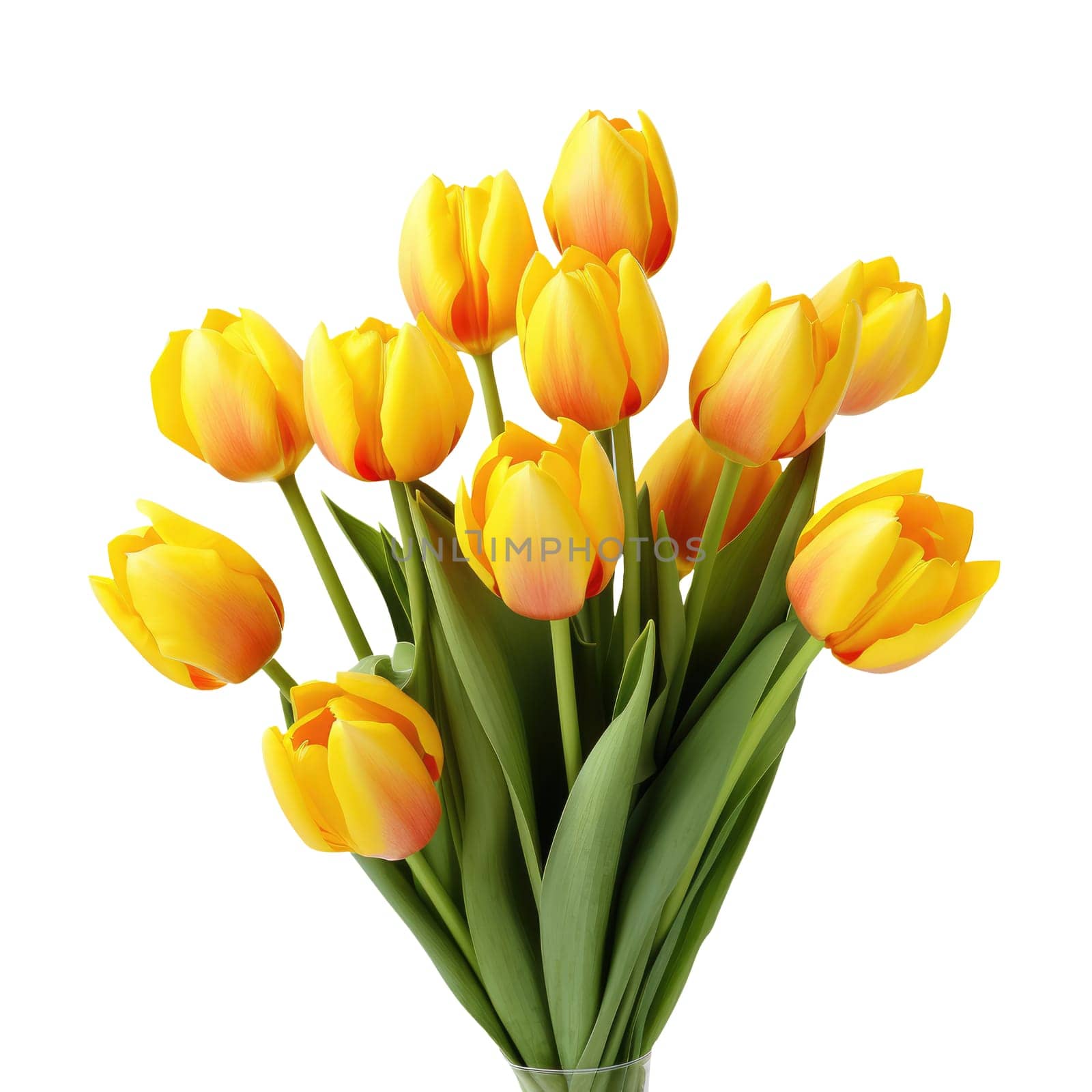 Bouquet of yellow tulips isolated on white background. Mother's Day background. AI