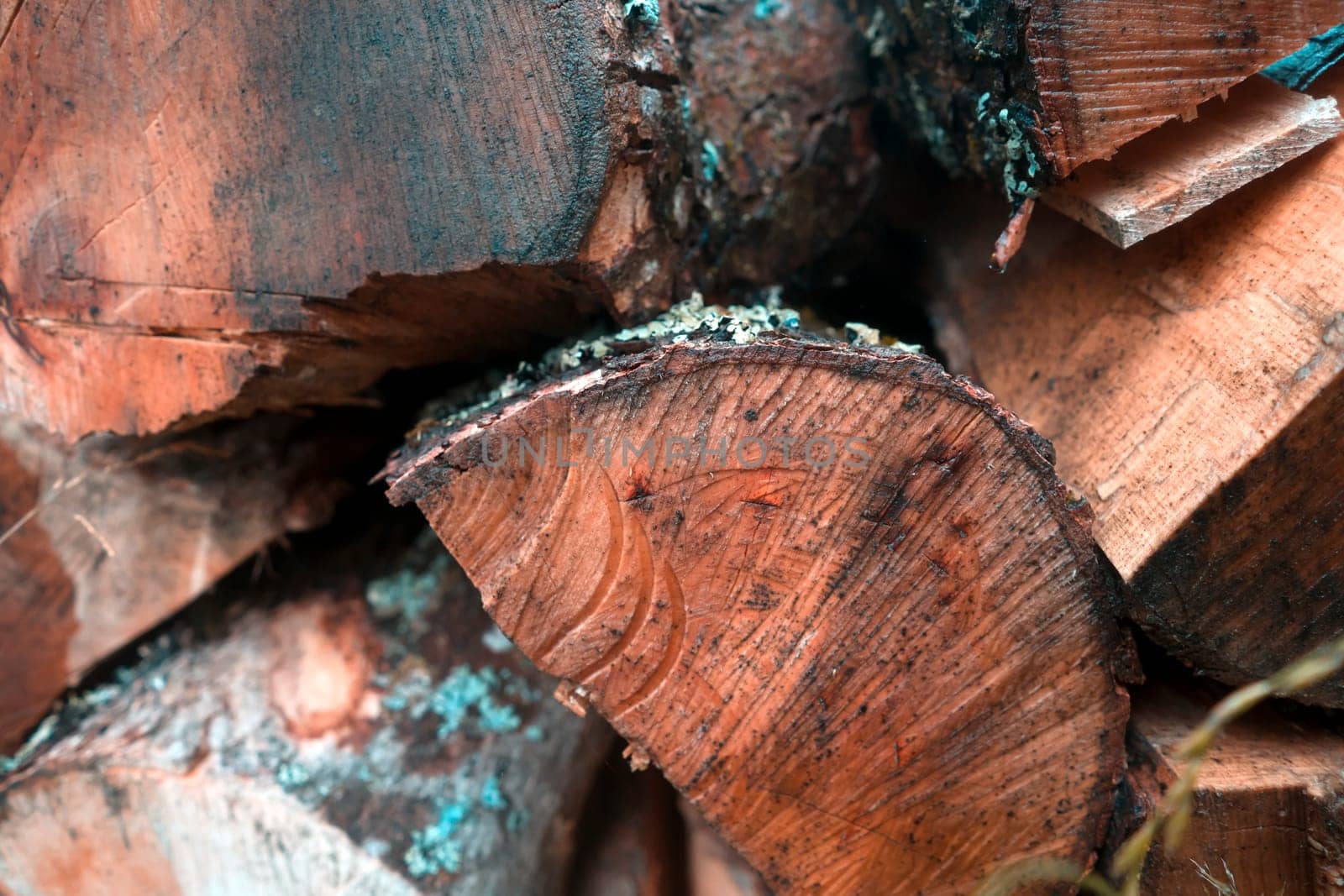 Old tree, logs, firewood harvested for the winter for the heating season, a beautiful background with textured wooden boards close-up.