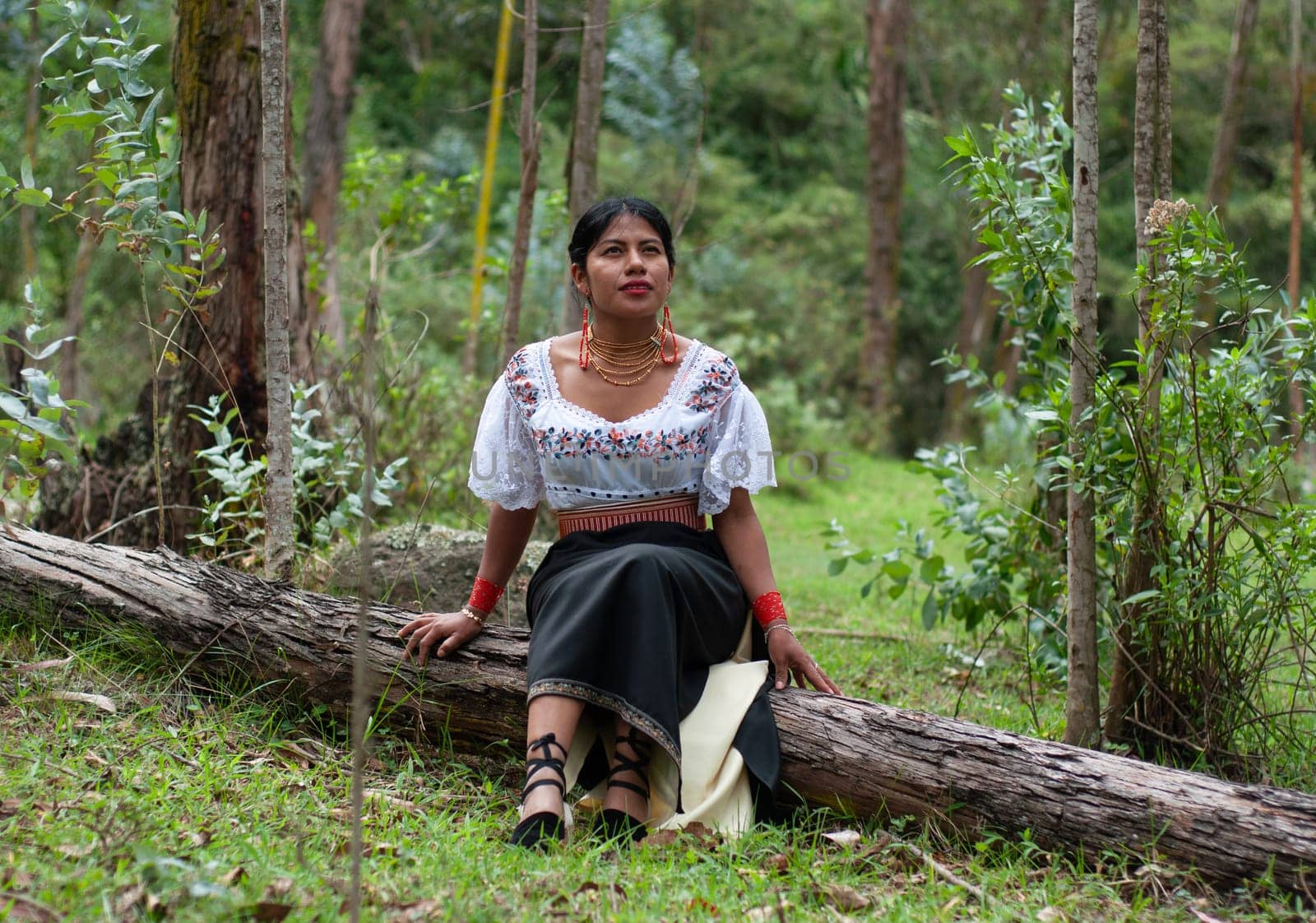beautiful young woman from otavalo, ecuador resting in a forest on a tree trunk. indigenous woman with traditional dress, woman enjoying the harmony and peace of nature. earth day. by Raulmartin