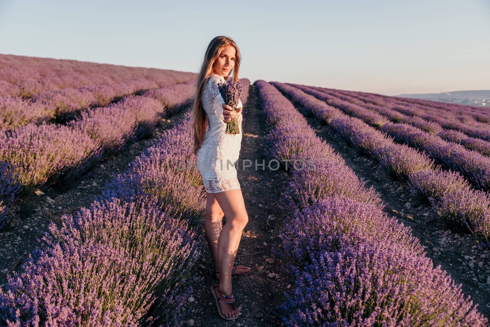 Woman lavender field. Happy carefree woman in a white dress walking in a lavender field and smelling a lavender bouquet on sunset. Ideal for warm and inspirational concepts in wanderlust and travel. by panophotograph