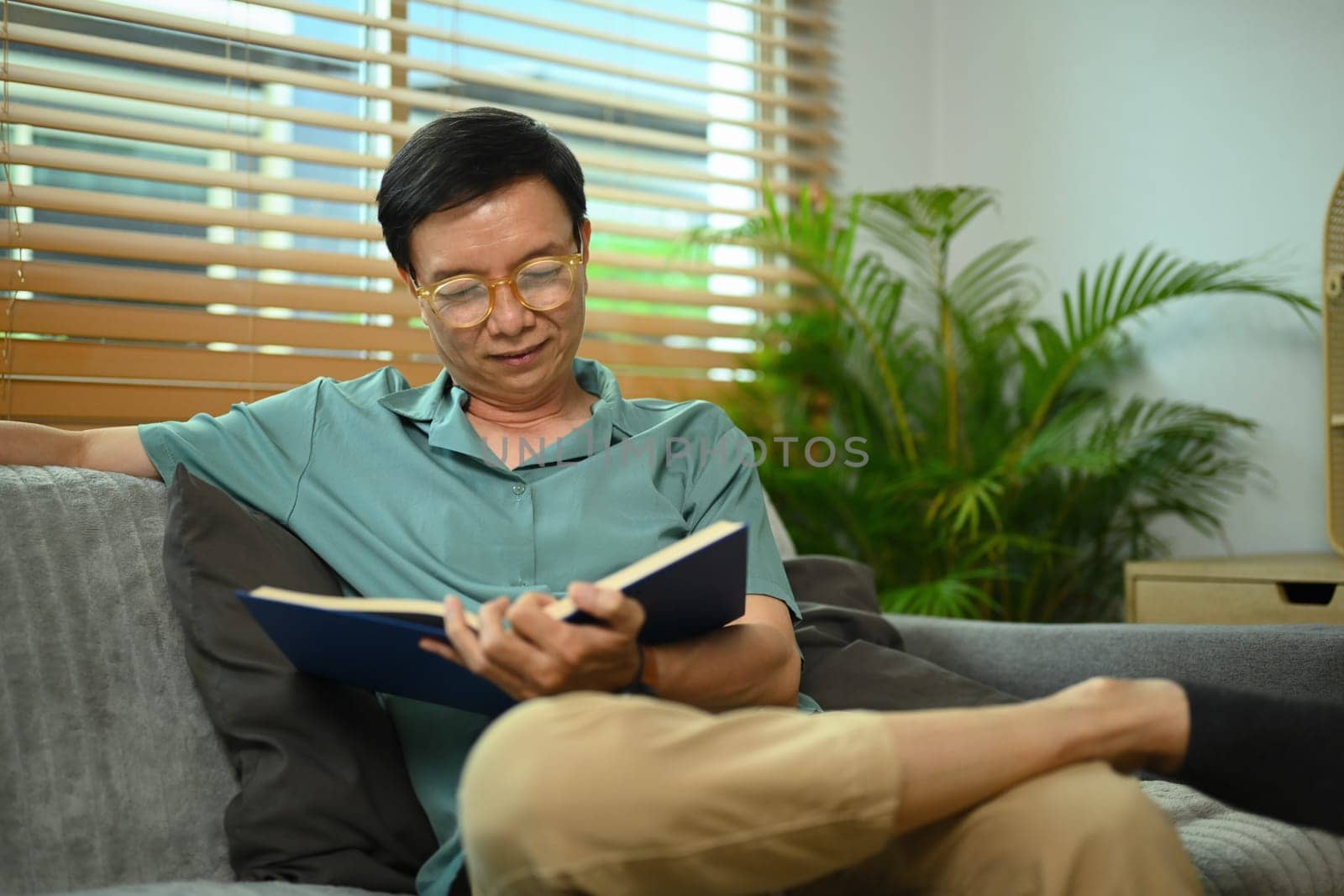 Peaceful senior man in glasses reading book, relaxing on couch at home.
