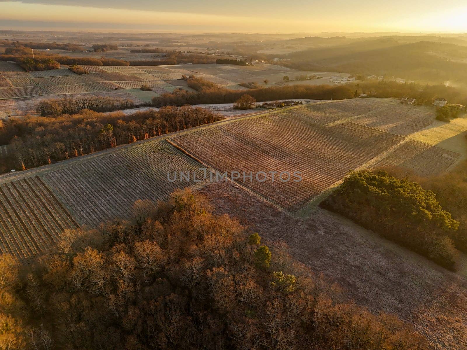 Aerial view of Bordeaux vineyard in winter at sunrise, Rions, Gironde, France by FreeProd