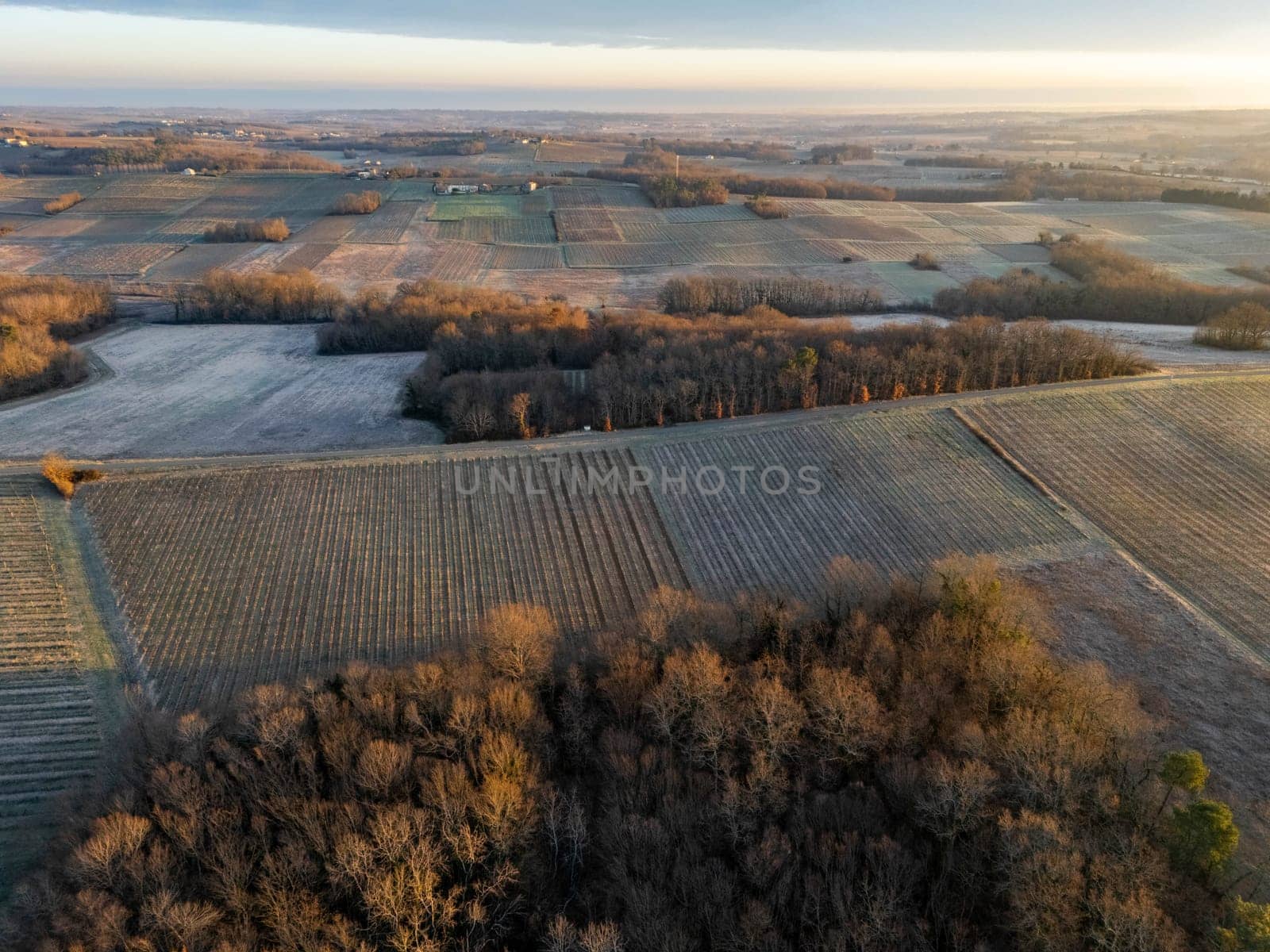 Aerial view of Bordeaux vineyard in winter at sunrise, Rions, Gironde, France by FreeProd