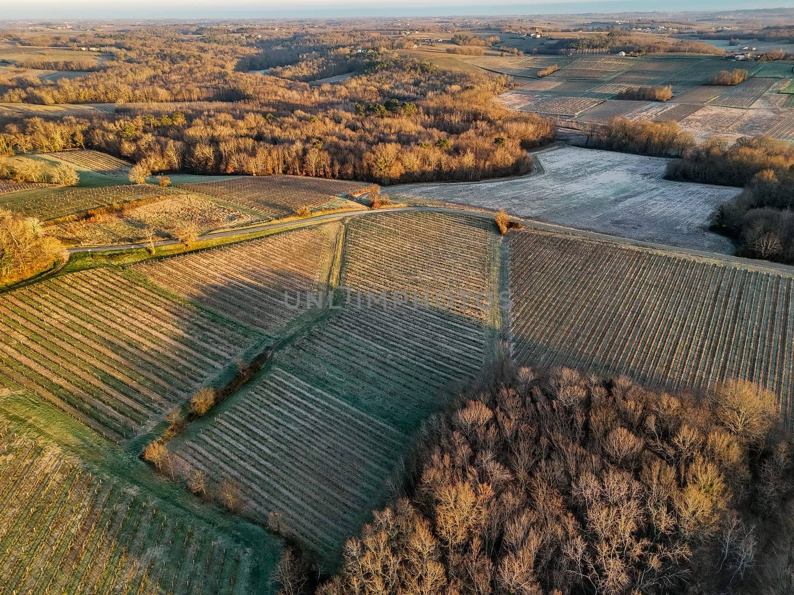 Aerial view of Bordeaux vineyard in winter at sunrise, Rions, Gironde, France. High quality photo