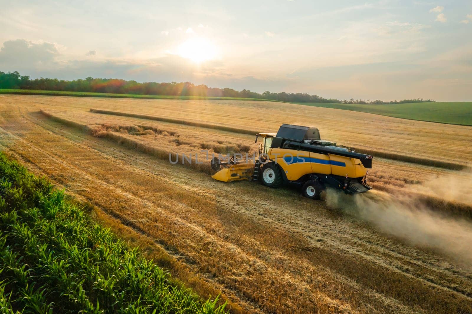 Combine reaper with dust cloud cuts ripe barley in farm field aerial view. Agricultural machinery harvests farm plants for food manufacturing