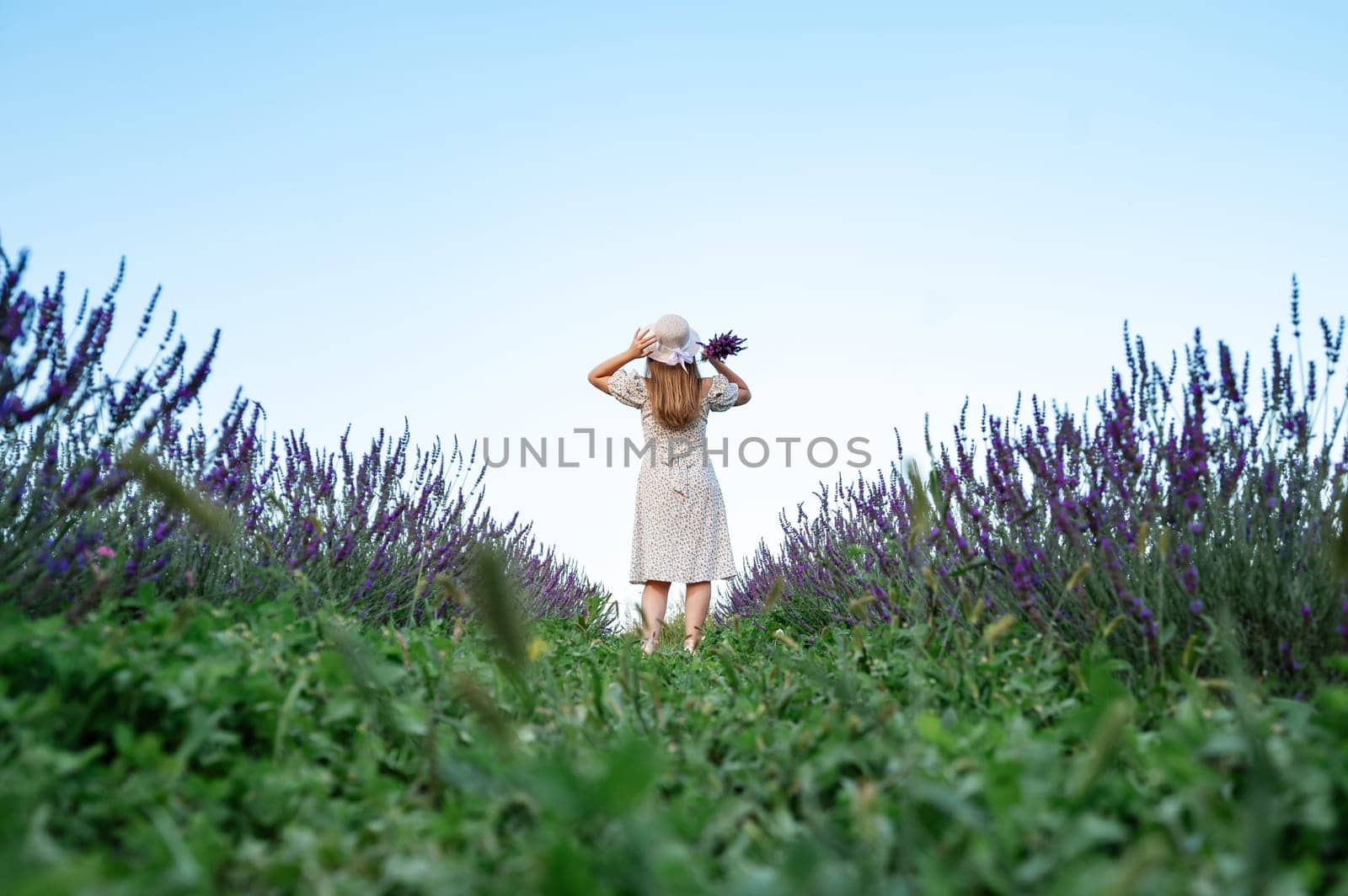 A young lavender field and a girl posing for a photo and holding a lavender bouquet.