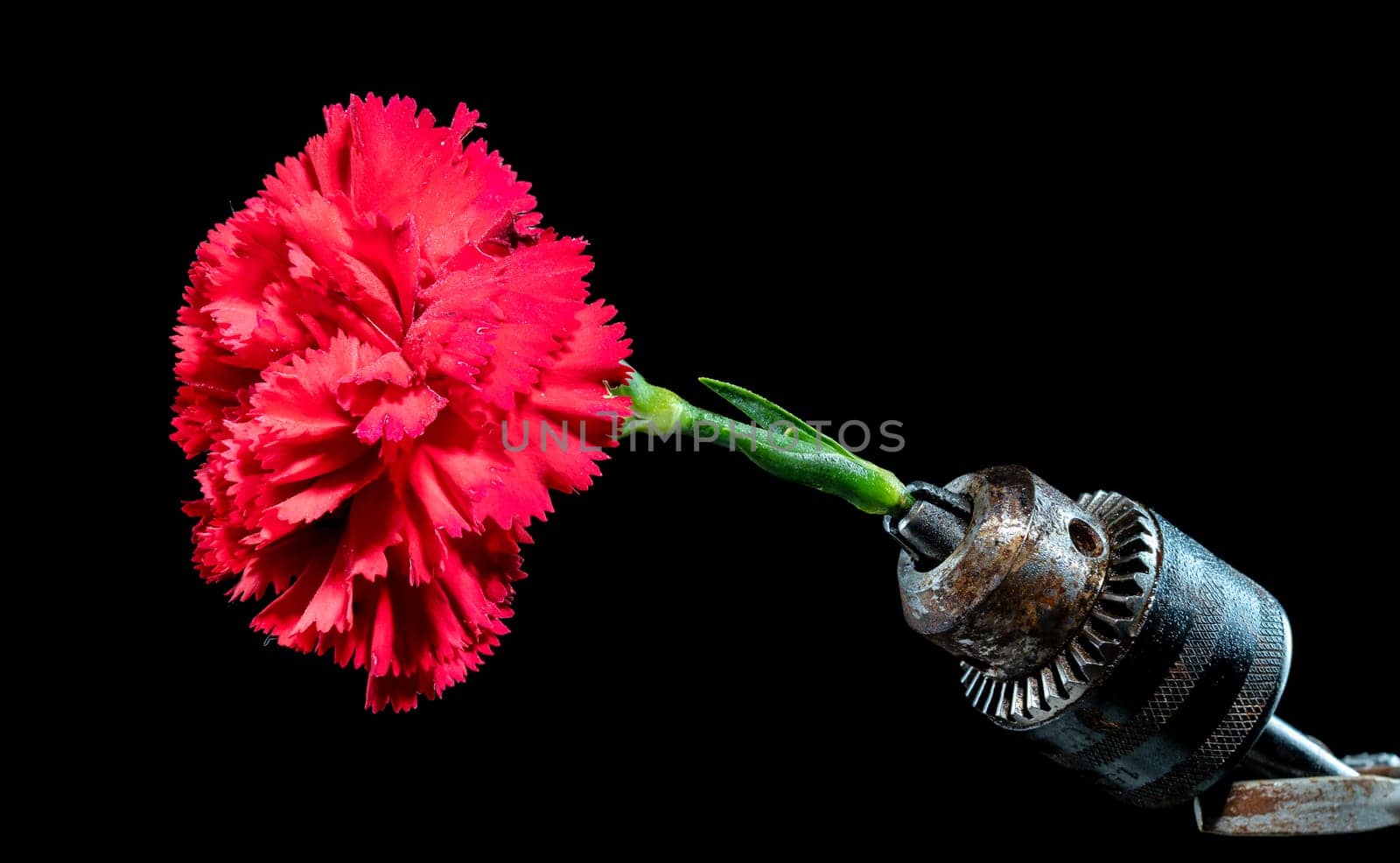 Creative still life with old rusty drill head and red carnation on a black background