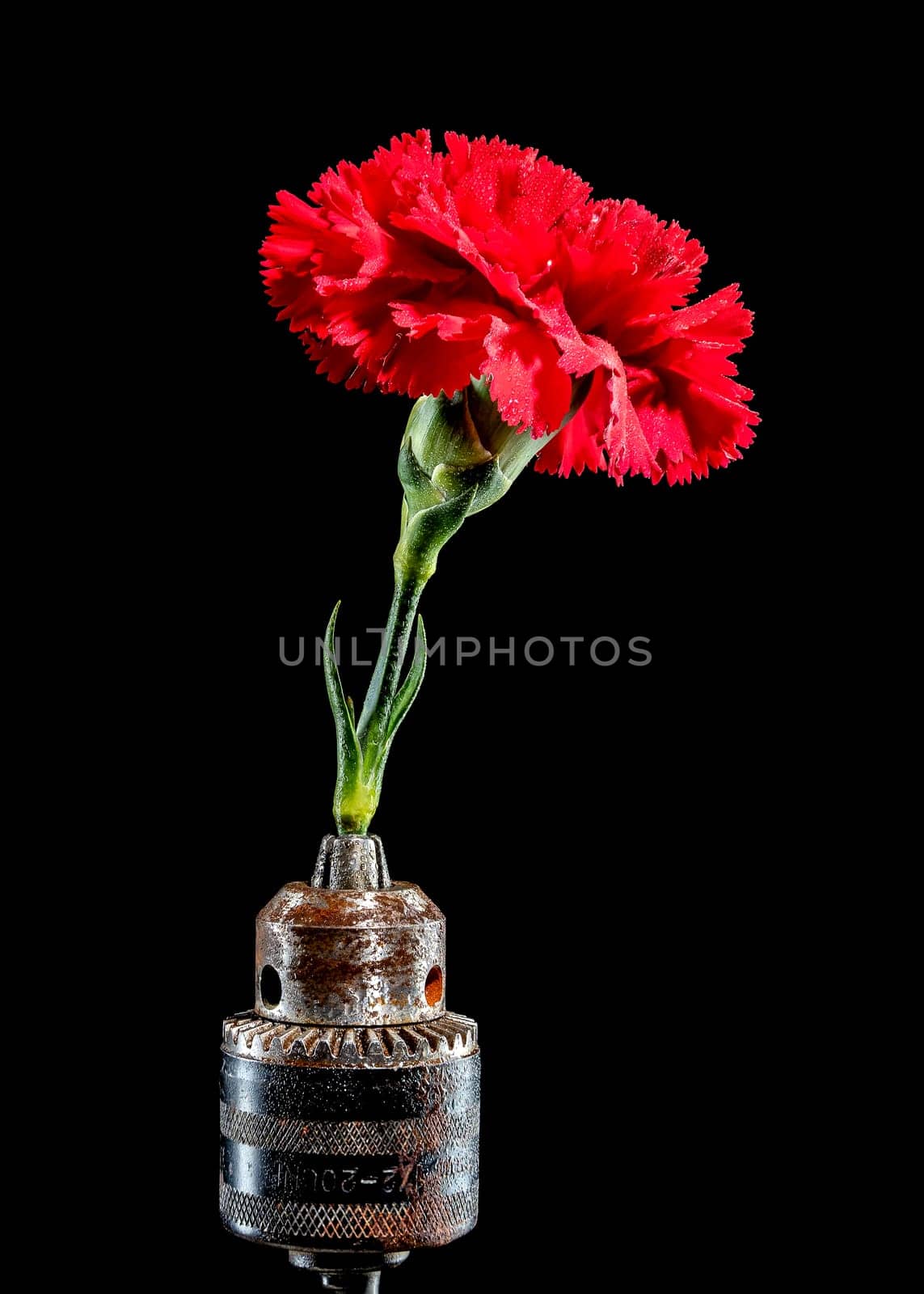 Creative still life with old rusty drill head and red carnation on a black background