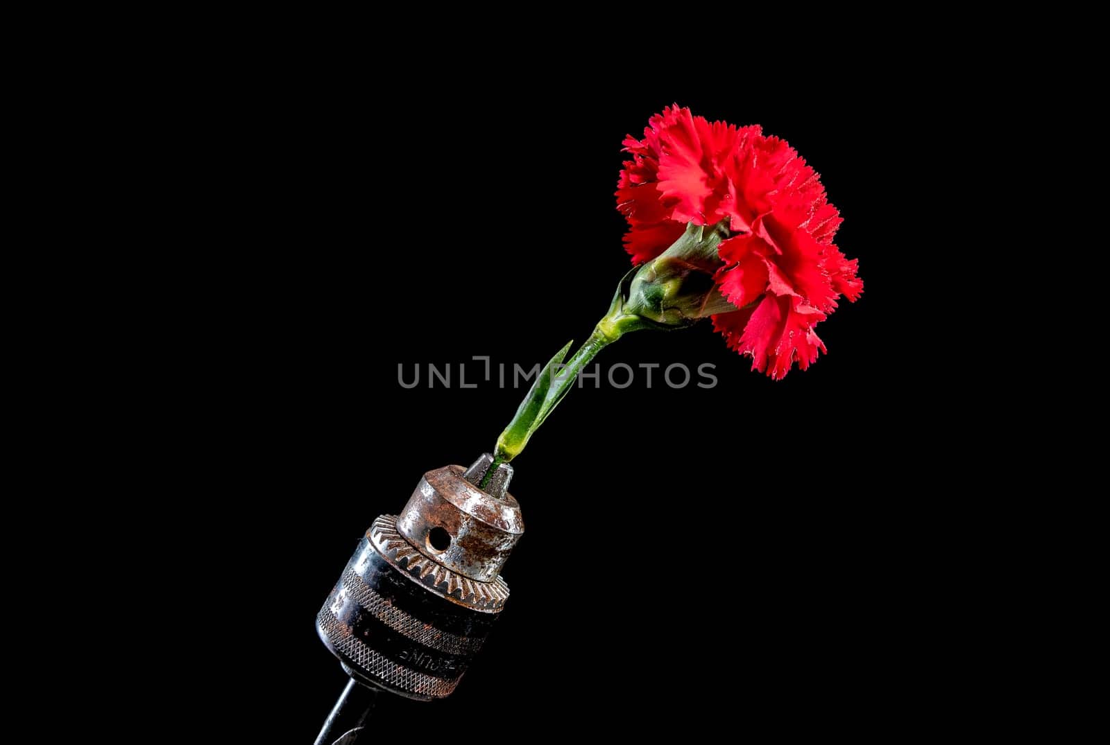 Creative still life with old rusty drill head and red carnation on a black background