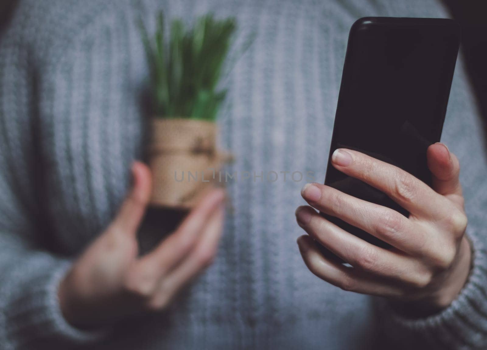 The hands of a Caucasian young unrecognizable girl in a thick gray knitted sweater holds a black smartphone in front of her, showing a mini flower pot on the screen, close-up side view with depth of field. Concept of online chat, social networks, modern lifestyle.