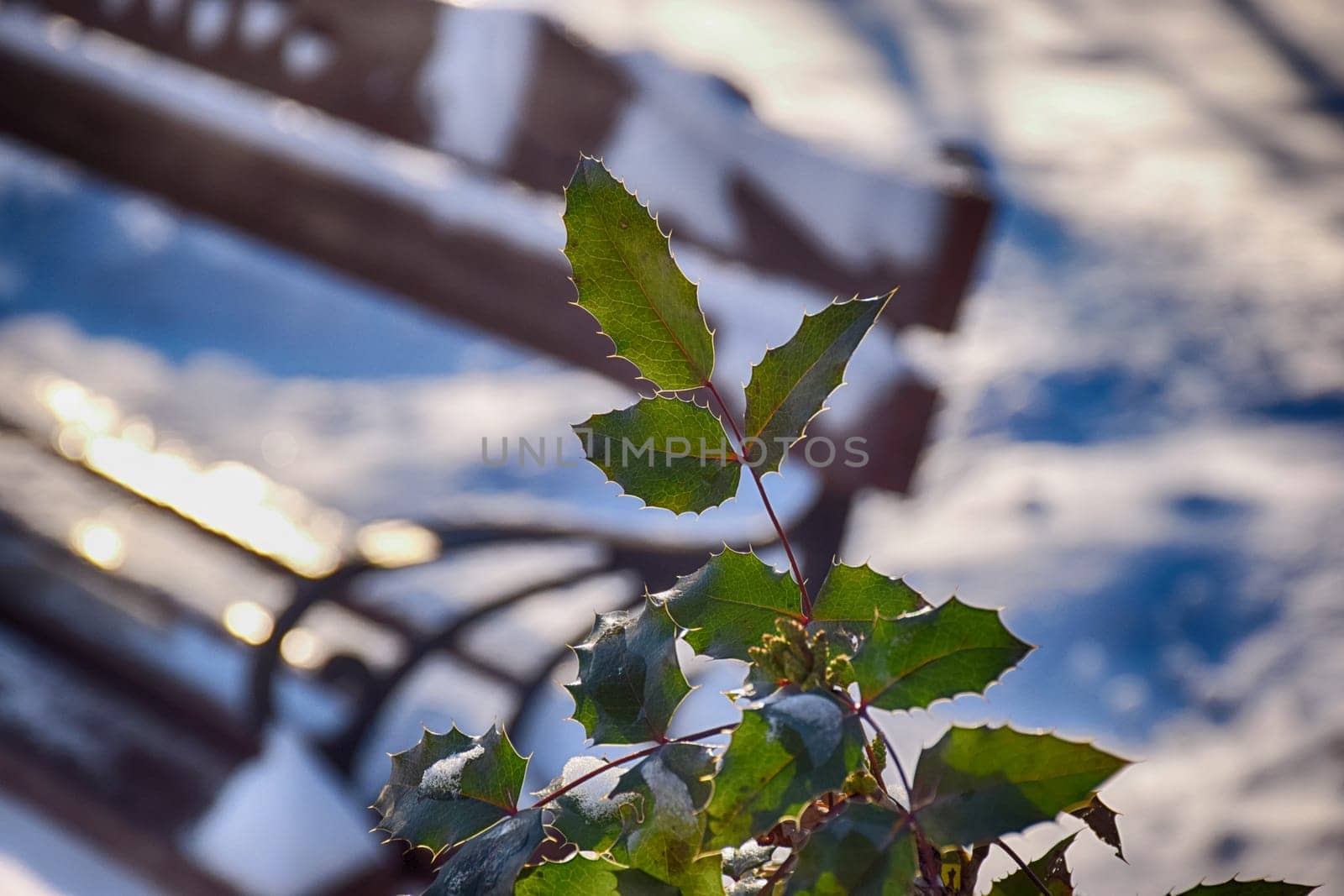 The empty wooden table top with blur background of winter in Finland. Exuberant image.