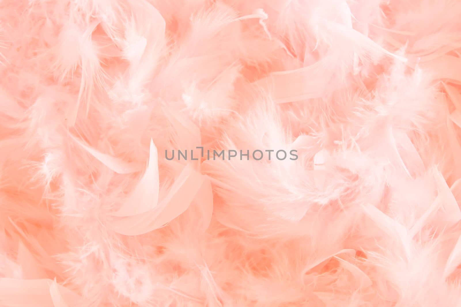 background of pink feathers beautiful tactile soft surfaces and texture, High quality photo