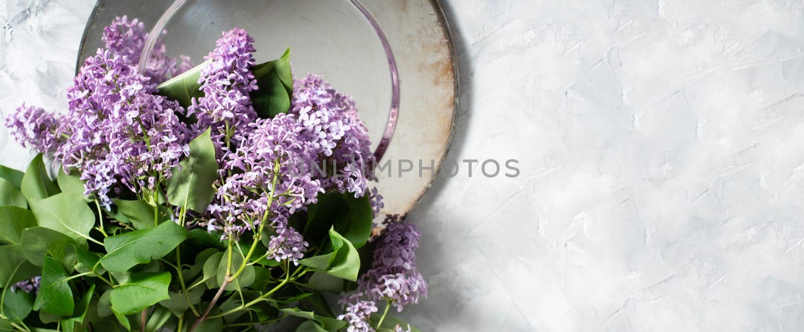 branch of purple lilac on a silver plate on a cement gray background with space for text concept of early spring flowers, High quality photo