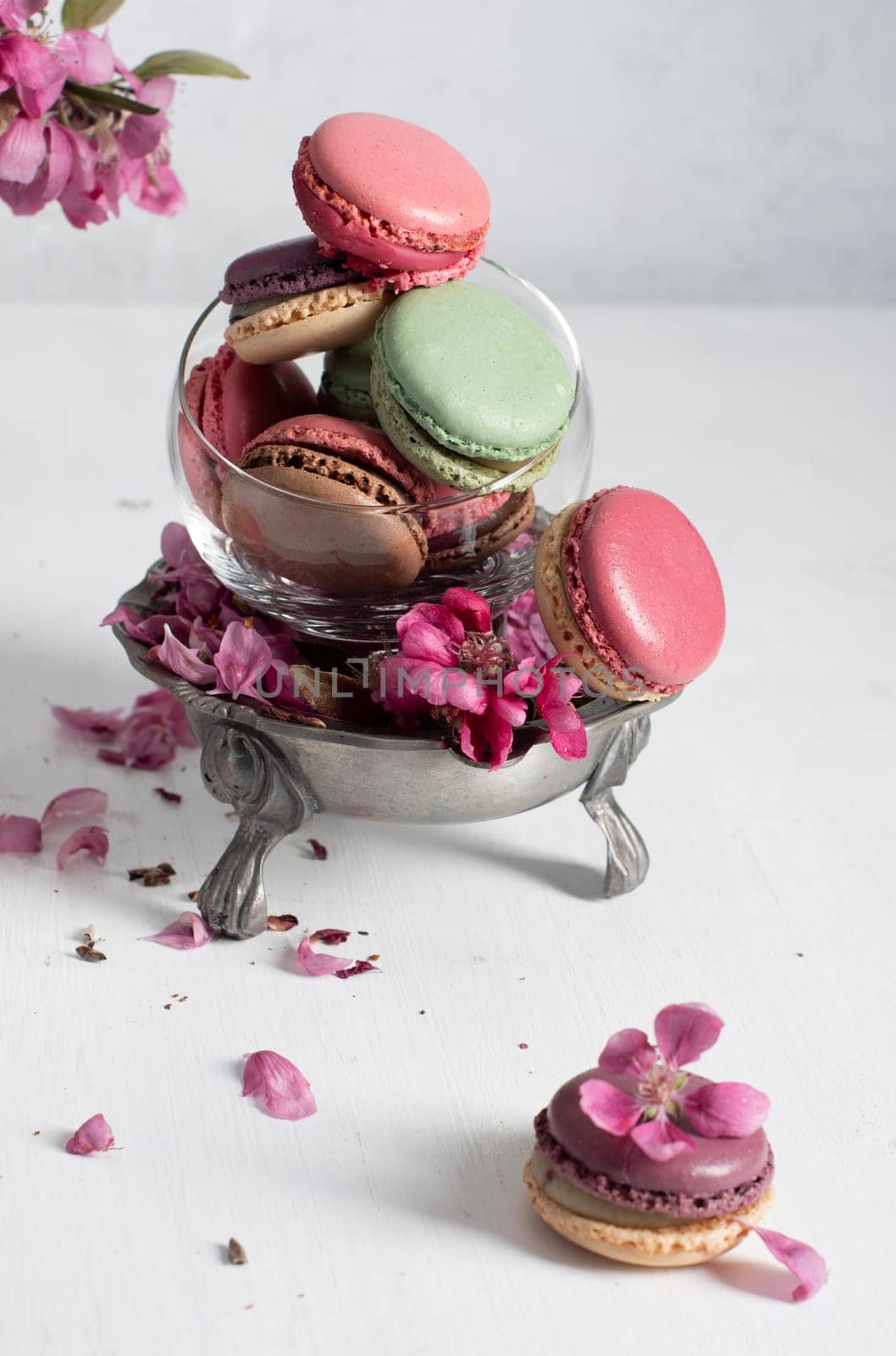 spring still life with colored macaroons and pink apple tree flowers in a pewter vase, colorful sweet food close up. High quality photo