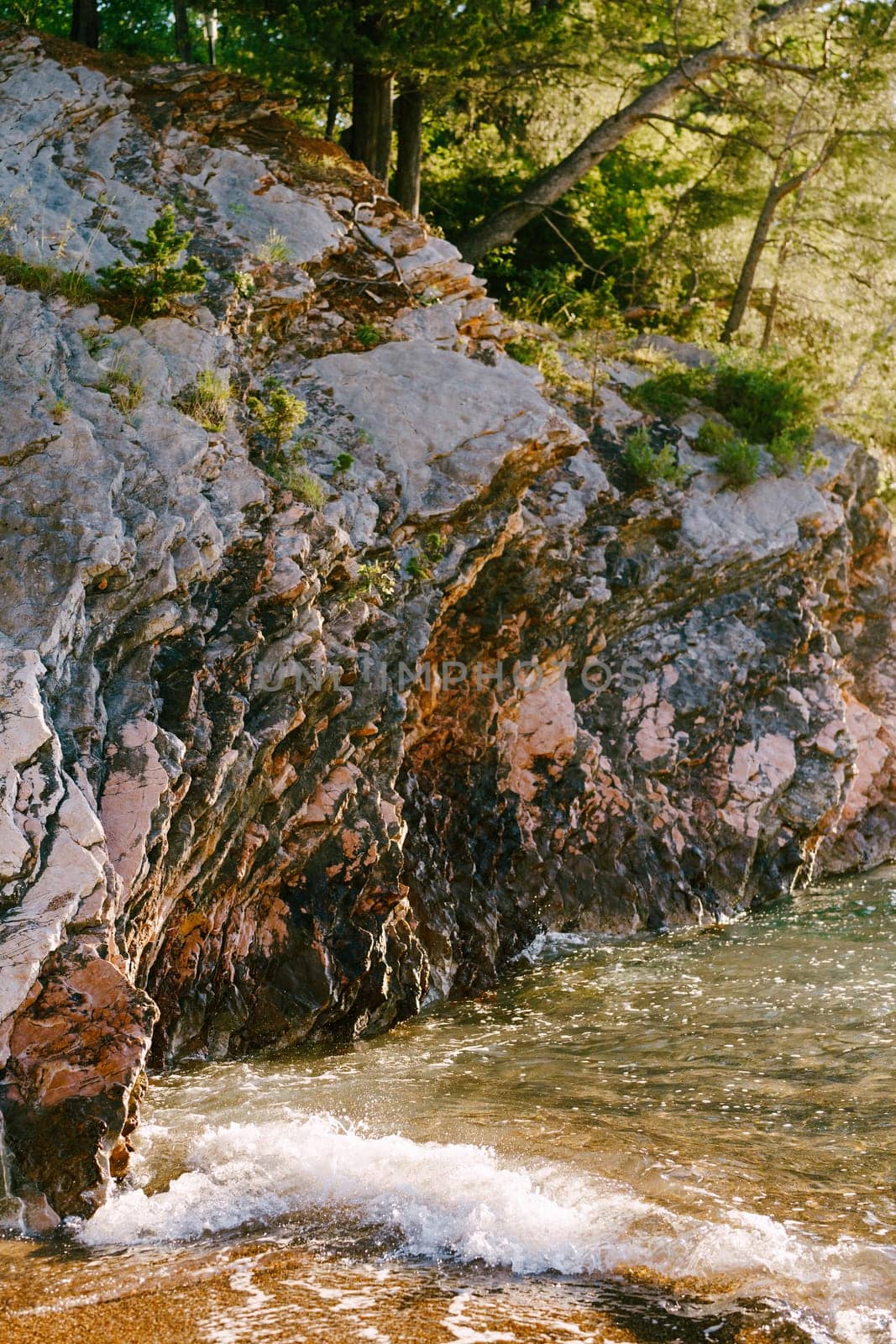 Sea waves roll on a rocky shore overgrown with green trees by Nadtochiy