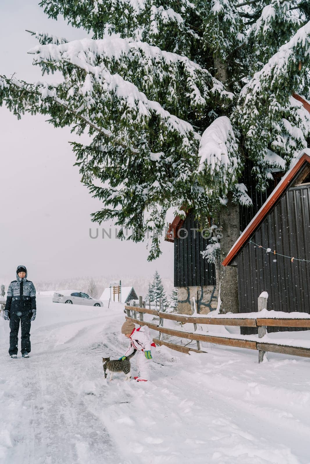 Mom looks at a little girl stroking a cat while standing on a snowy road near the fence of the house by Nadtochiy