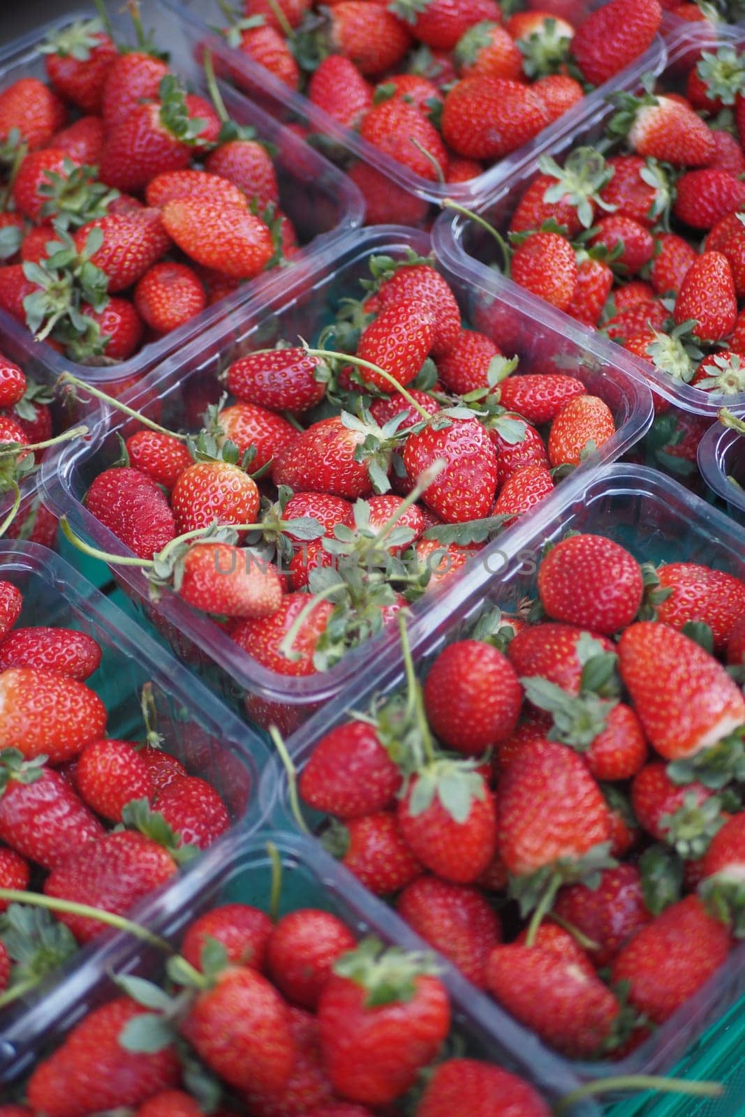 Ripe Red Strawberries in. plastic container selling at shop by towfiq007