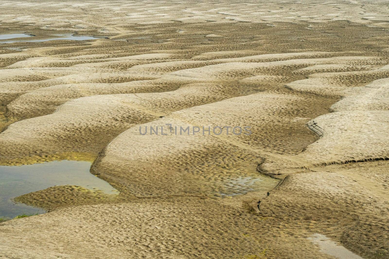 Embossed sandy texture. Sandbanks on the river bank. by paca-waca