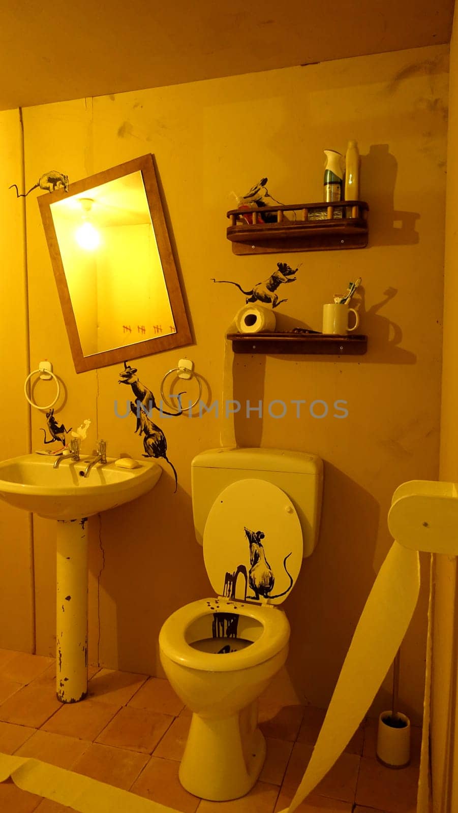 Stockholm, Sweden, December 29 2023. Art exhibition. The mystery of Banksy A genius mind. Bathroom.