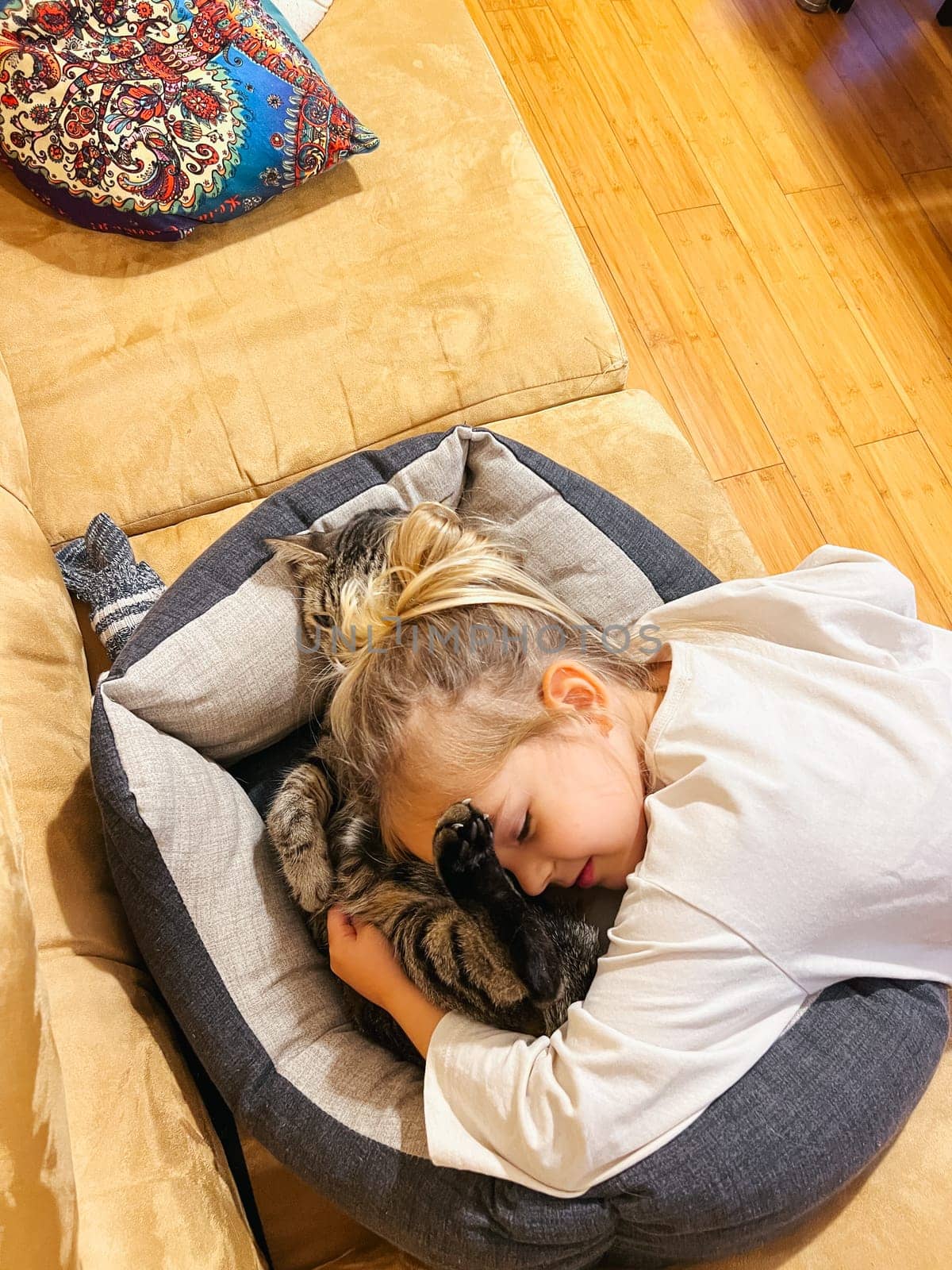 Little girl hugging a cat lying on a couch by Nadtochiy