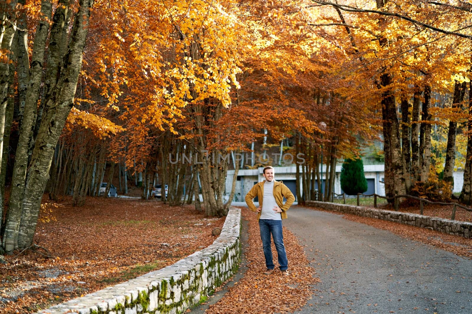 Smiling young man stands with his hands on his hips on the road in the autumn park by Nadtochiy