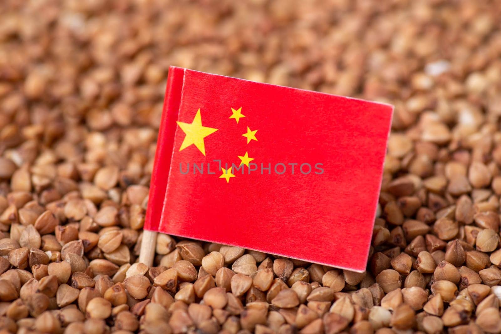 Growing buckwheat in China concept