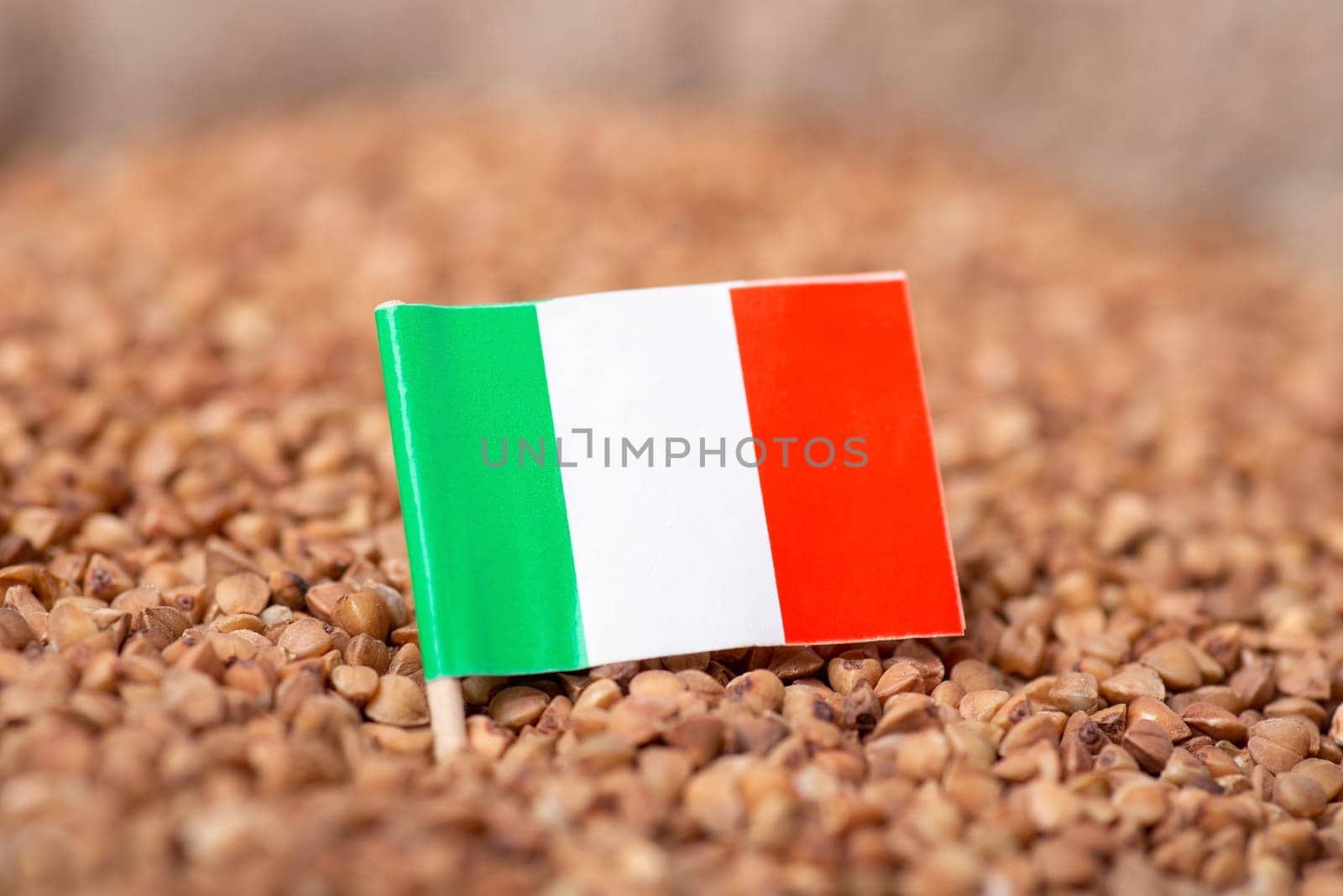 Export of buckwheat to Italy concept