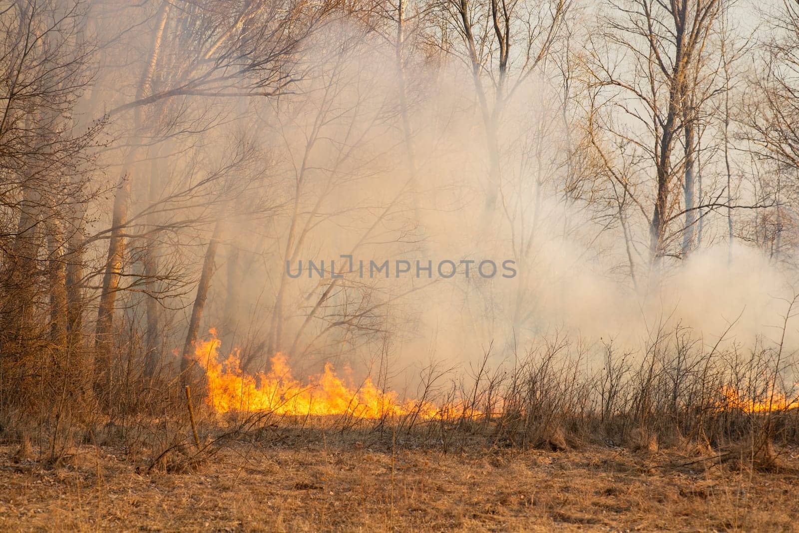 Dangerous fire in countryside