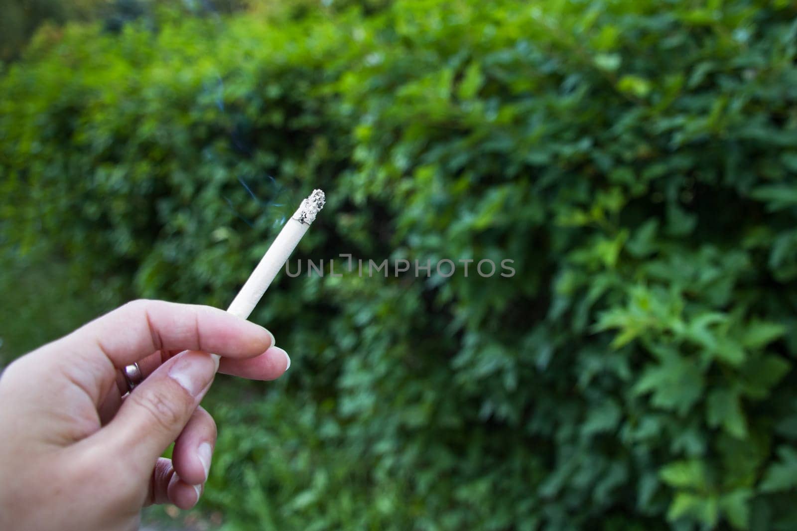 Burning cigarette in a hand on a background of green plants, copy space