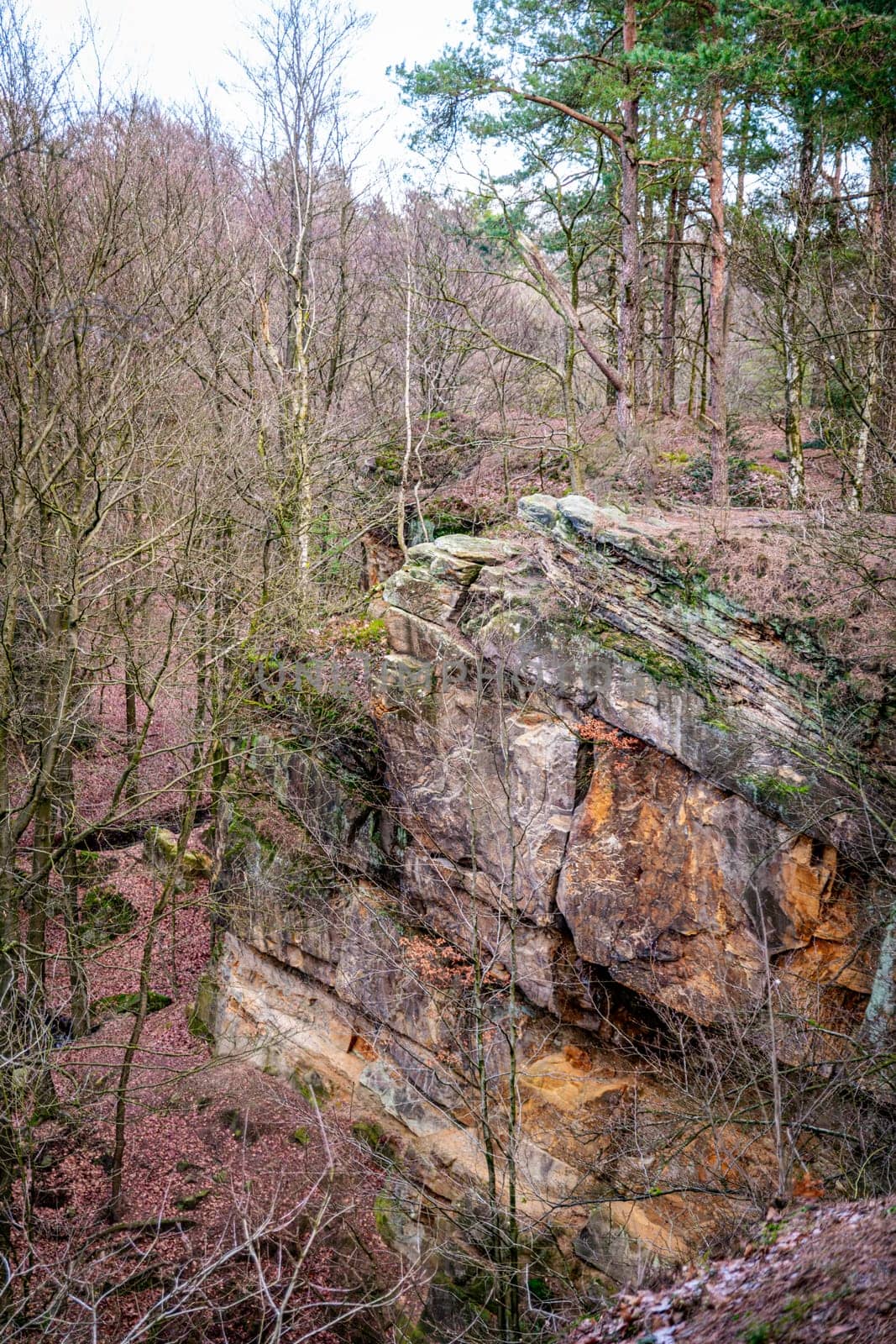 large rocks of Bentheim sandstone in the forest near the Bentheim Cliffs near the town of Bentheim in western Germany