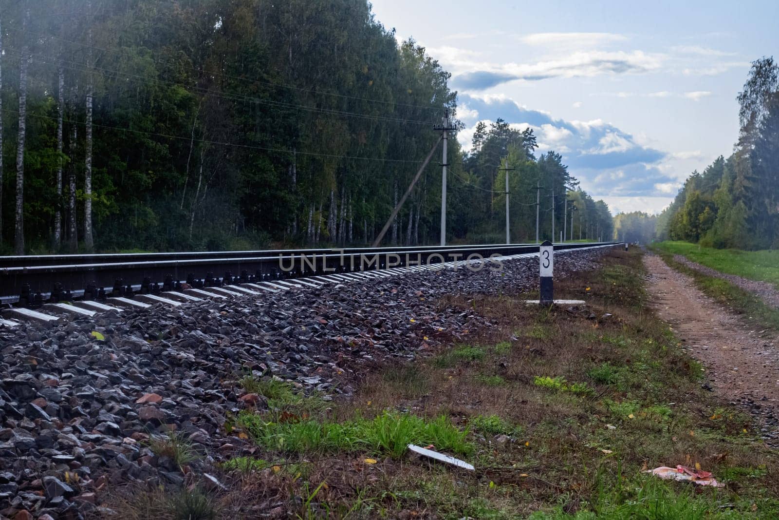 Railroad tracks go into the distance in the forest and cloudy sky