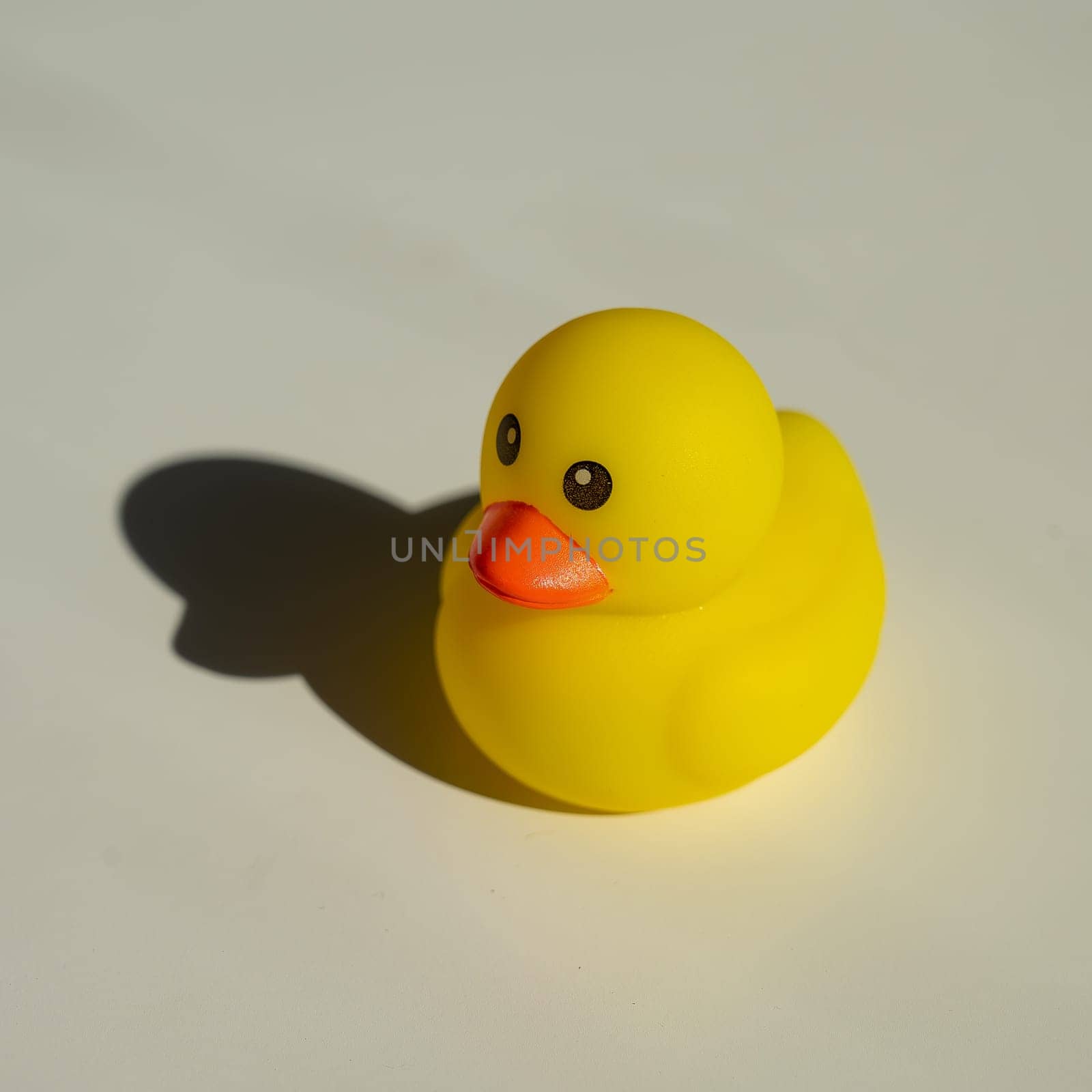 Rubber little duckling for a bath on a white background