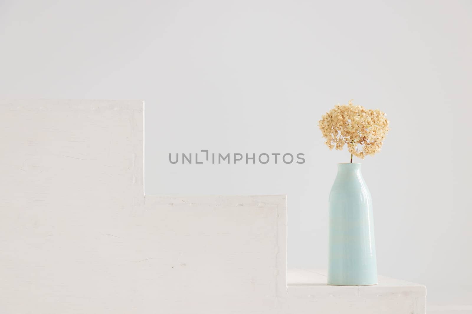 Dry hydrangea flower in blue vase on white house porch. Minimalist stilllife banner