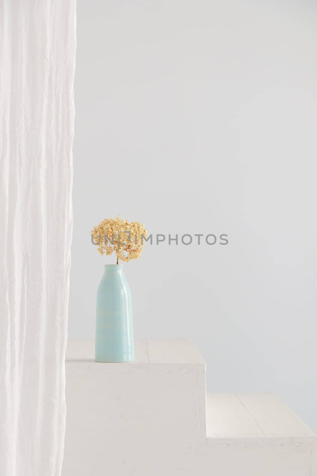 Dry hydrangea flower in blue vase on white interior. Minimalist stilllife banner