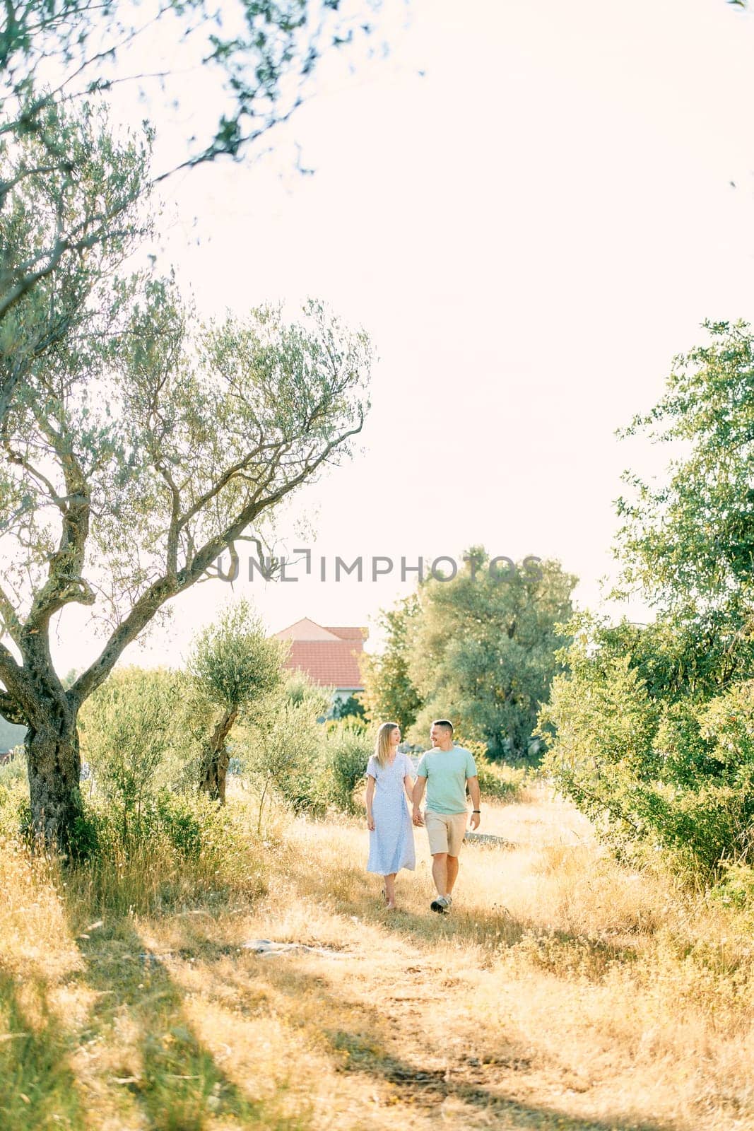 Guy and girl walk holding hands and looking at each other in a sunny park by Nadtochiy