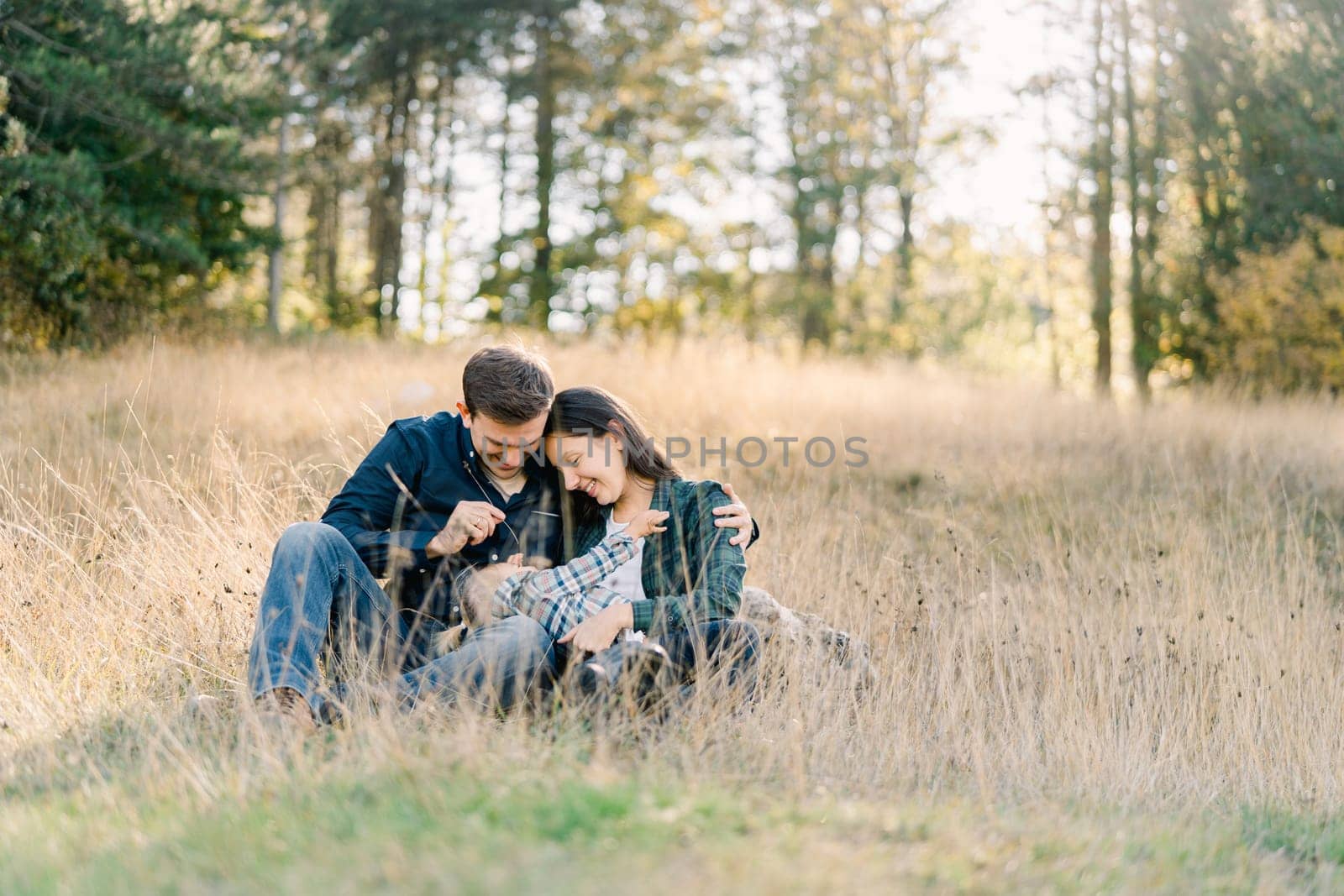 Dad tickles a little girl lying on his and mom knees with a blade of grass. High quality photo