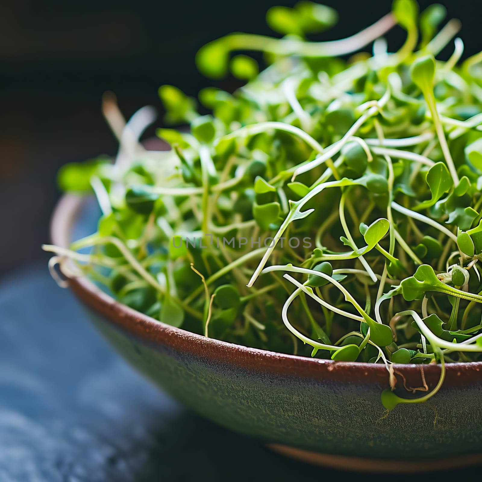 Close-up of arugula sprouts on a dark background. Healthy food, super food.