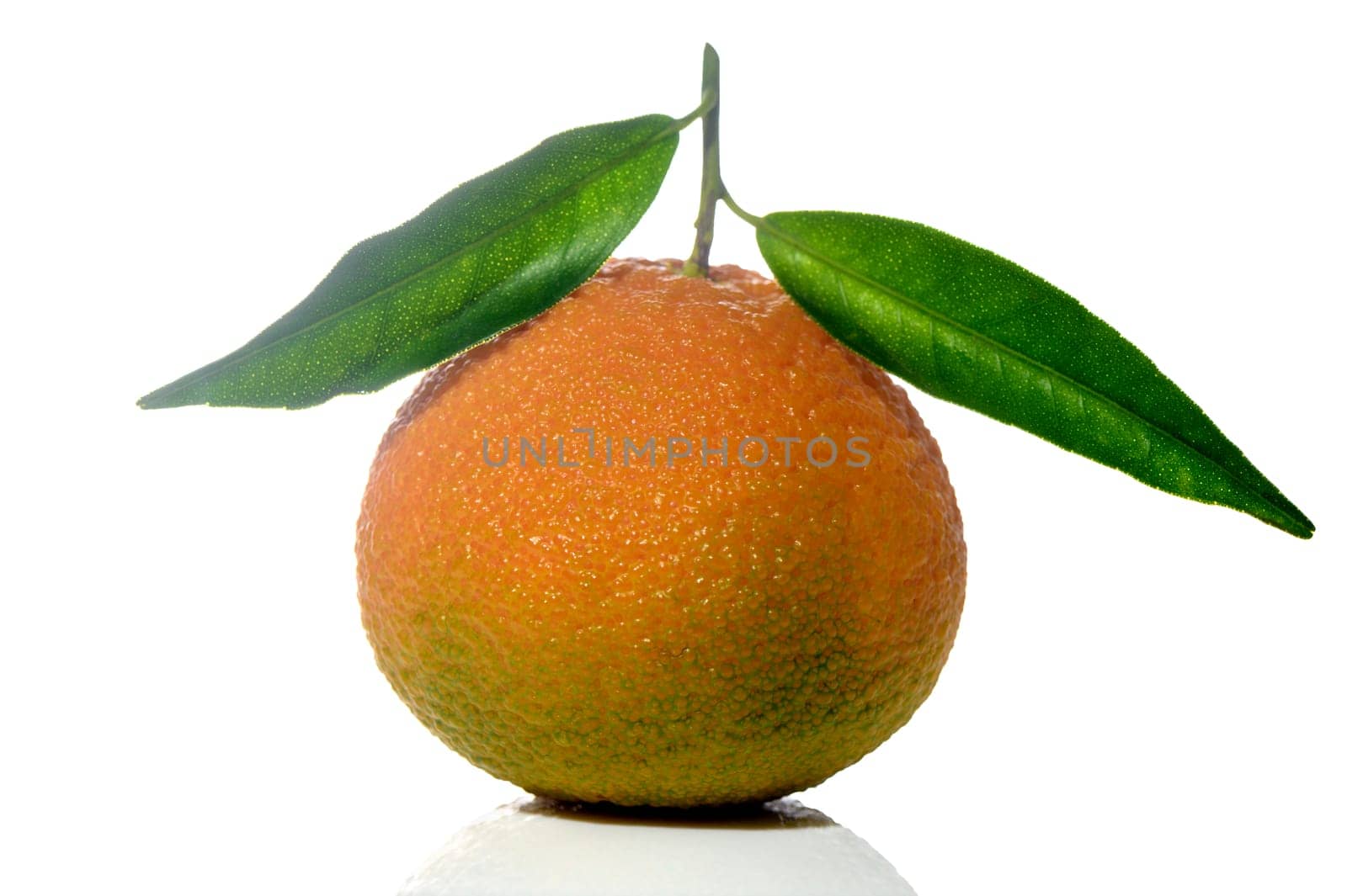 fresh juicy tangerines on a white background 3