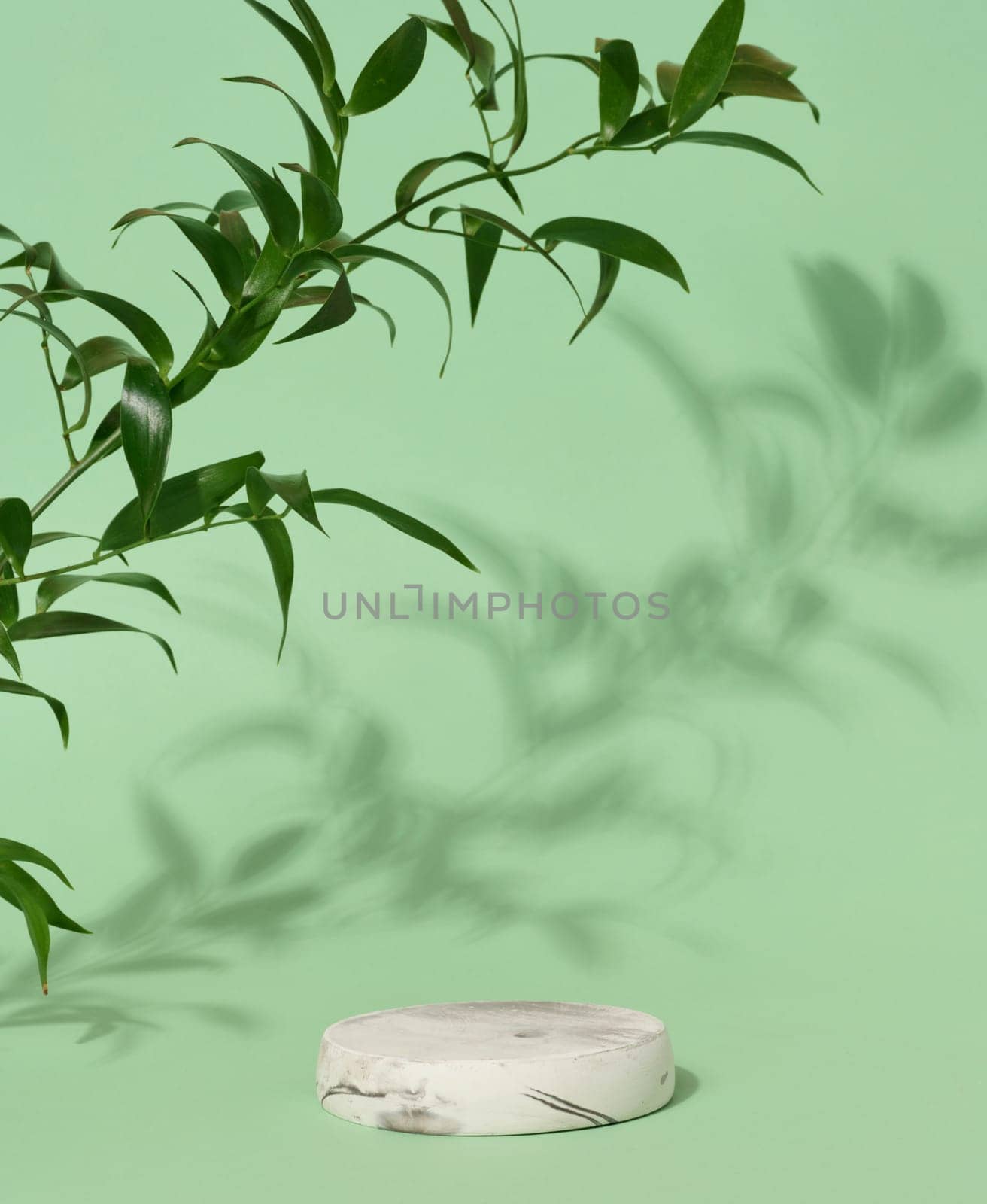 Empty round white marble stand on a green background and green leaves, a place to display cosmetics and products by ndanko