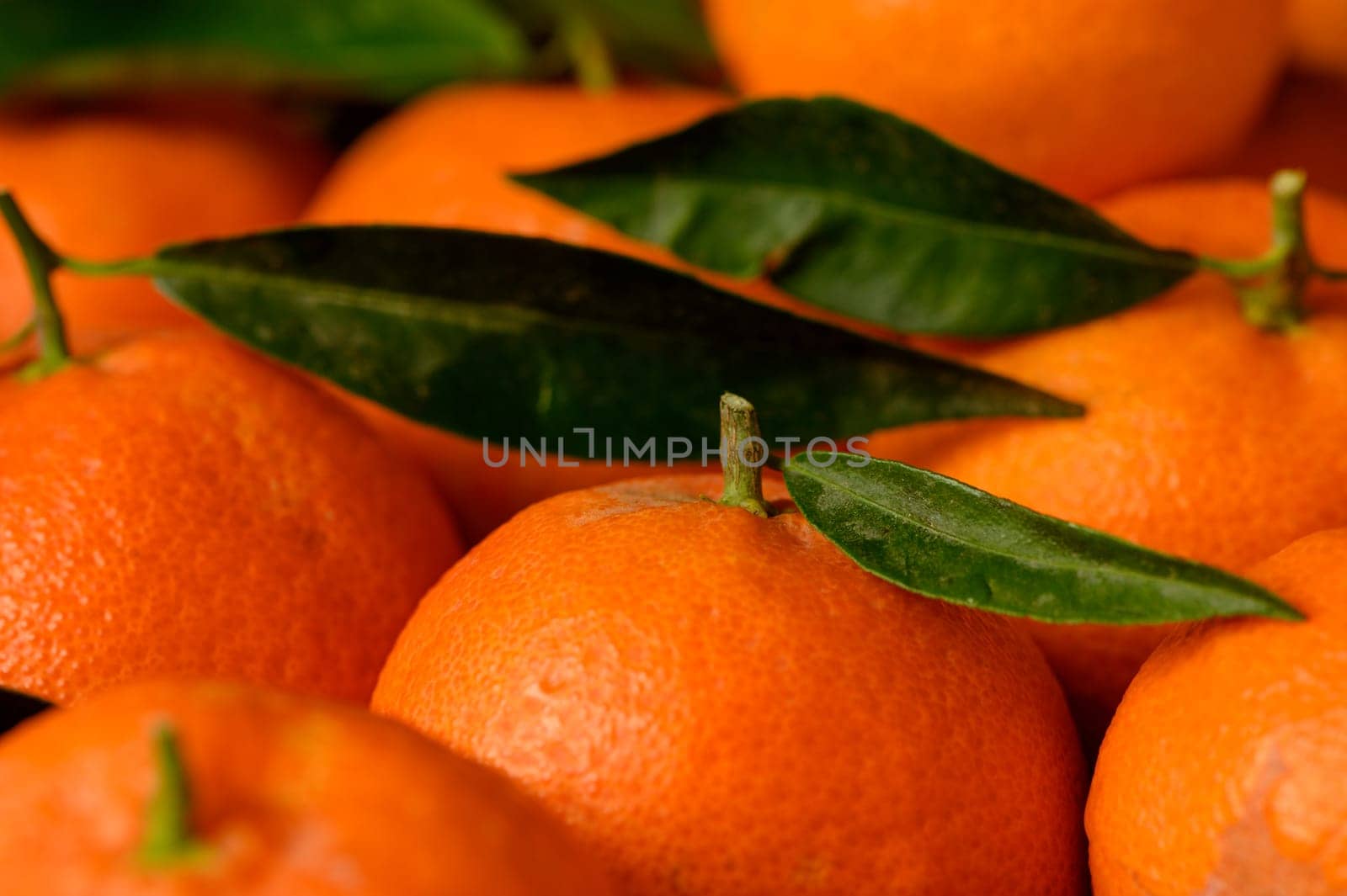 fresh juicy tangerines on a wooden table 6 by Mixa74