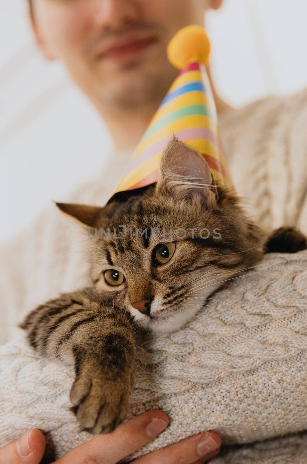 A young guy is holding a cat with a hat in his hands. by Nataliya