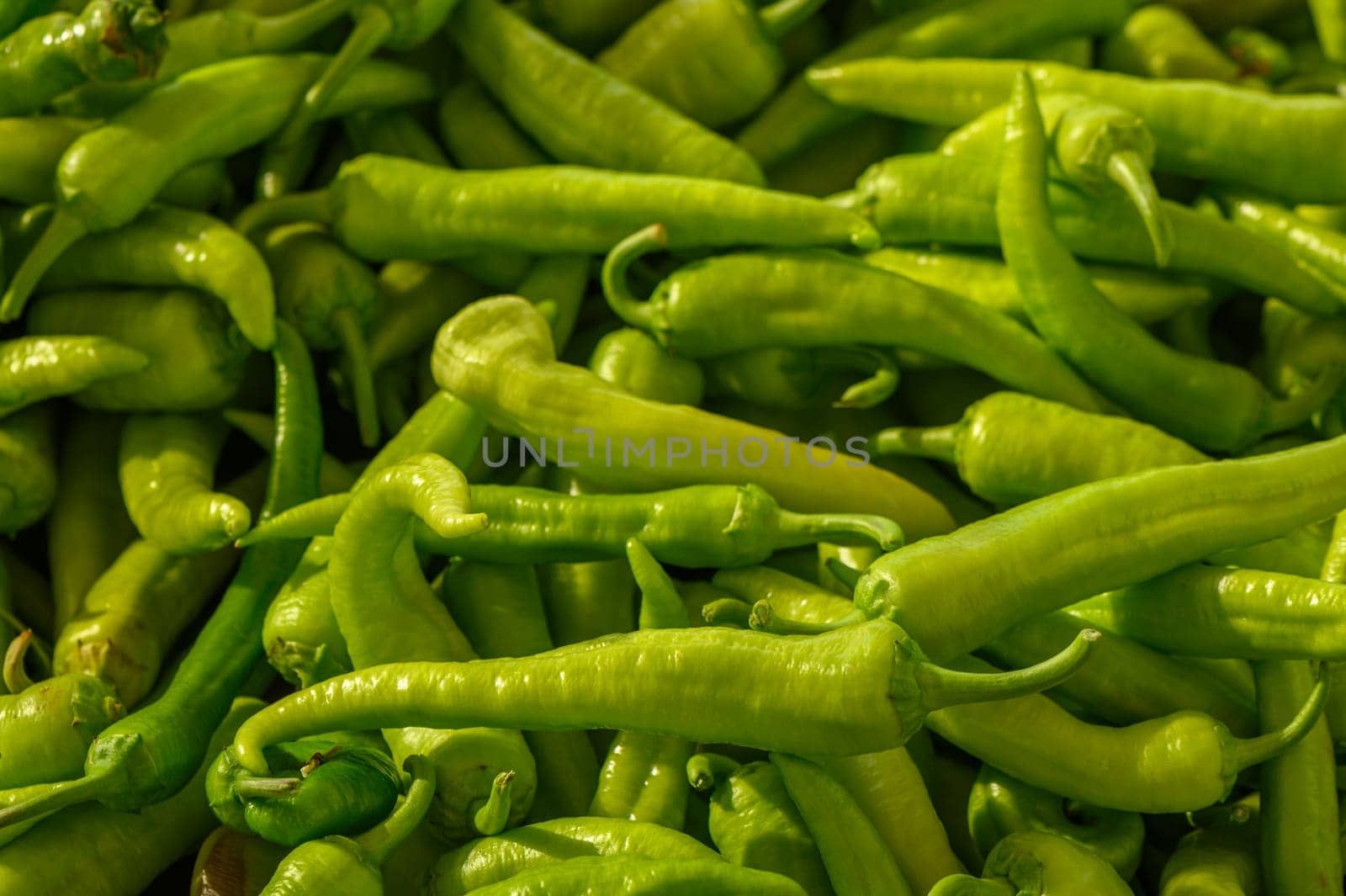 fresh appetizing green hot peppers at the bazaar on the island of Cyprus in autumn 1