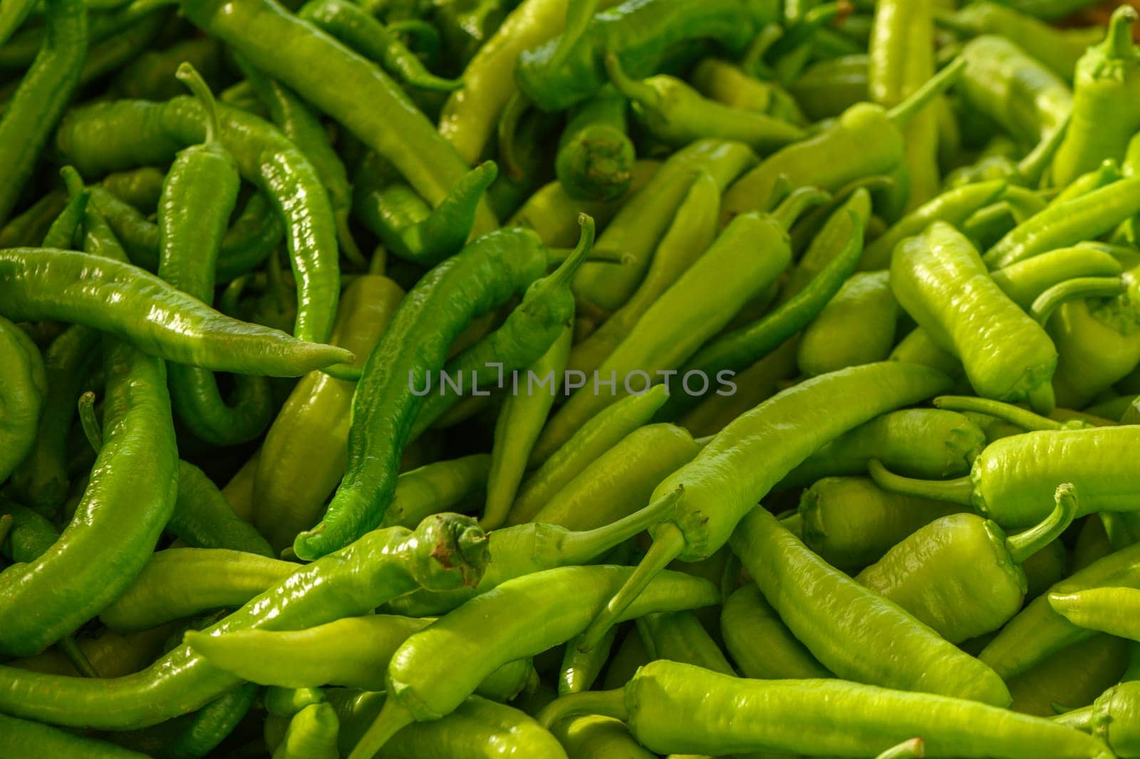 fresh appetizing green hot peppers at the bazaar on the island of Cyprus in autumn