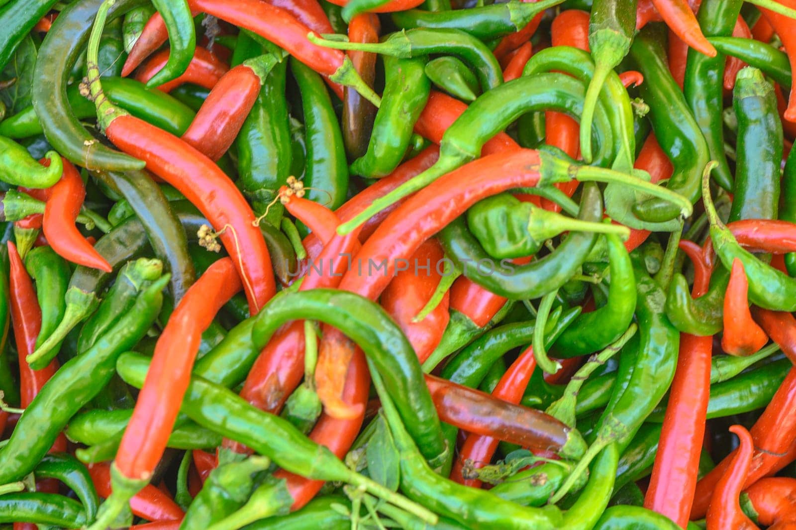 fresh appetizing red and green hot peppers at the bazaar on the island of Cyprus in autumn 1