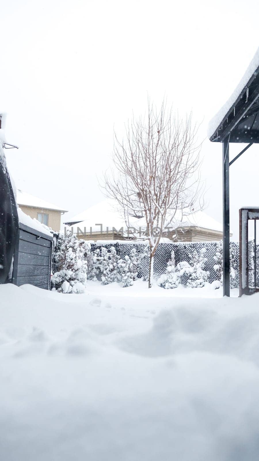 View of the trees, bushes, gazibo on backyard in heavy snowfall with blizzard and wind gusts against the background